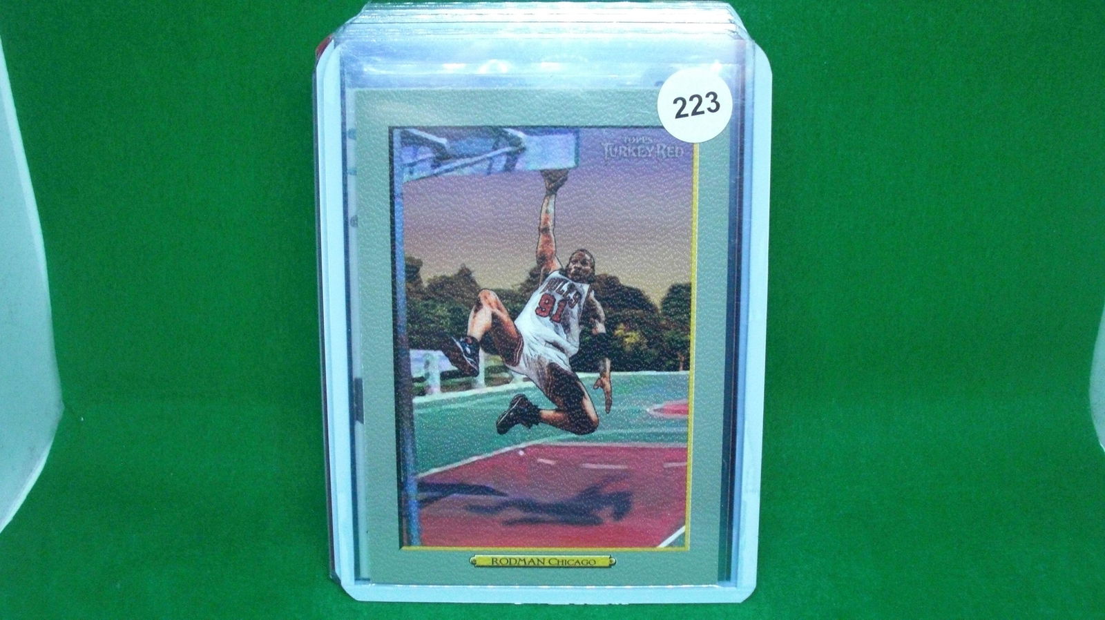 Dennis Rodman Turkey red (1 of 1)