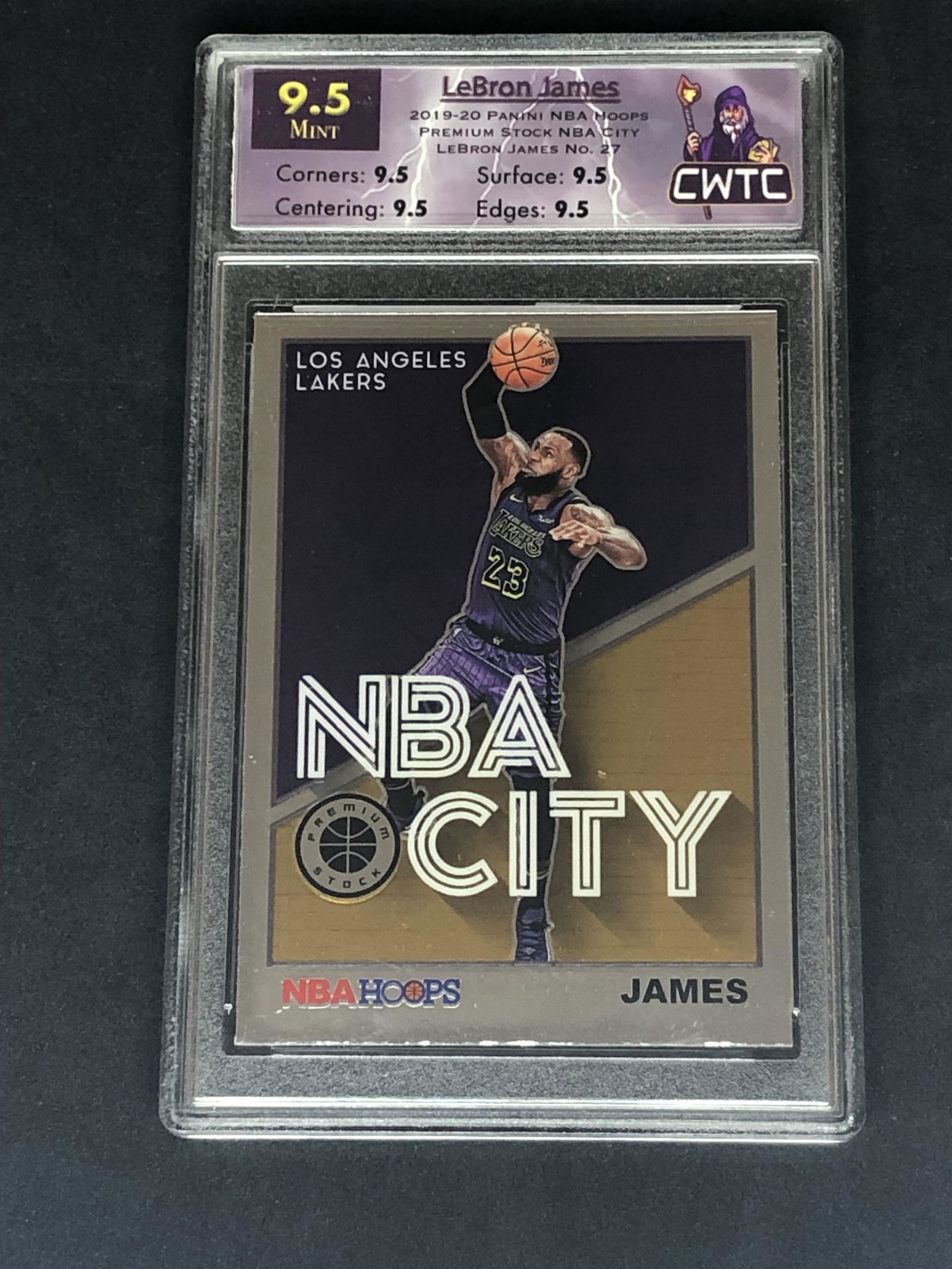 LeBron James Panini NBA Hoops CWTC 9.5 (1 of 1)