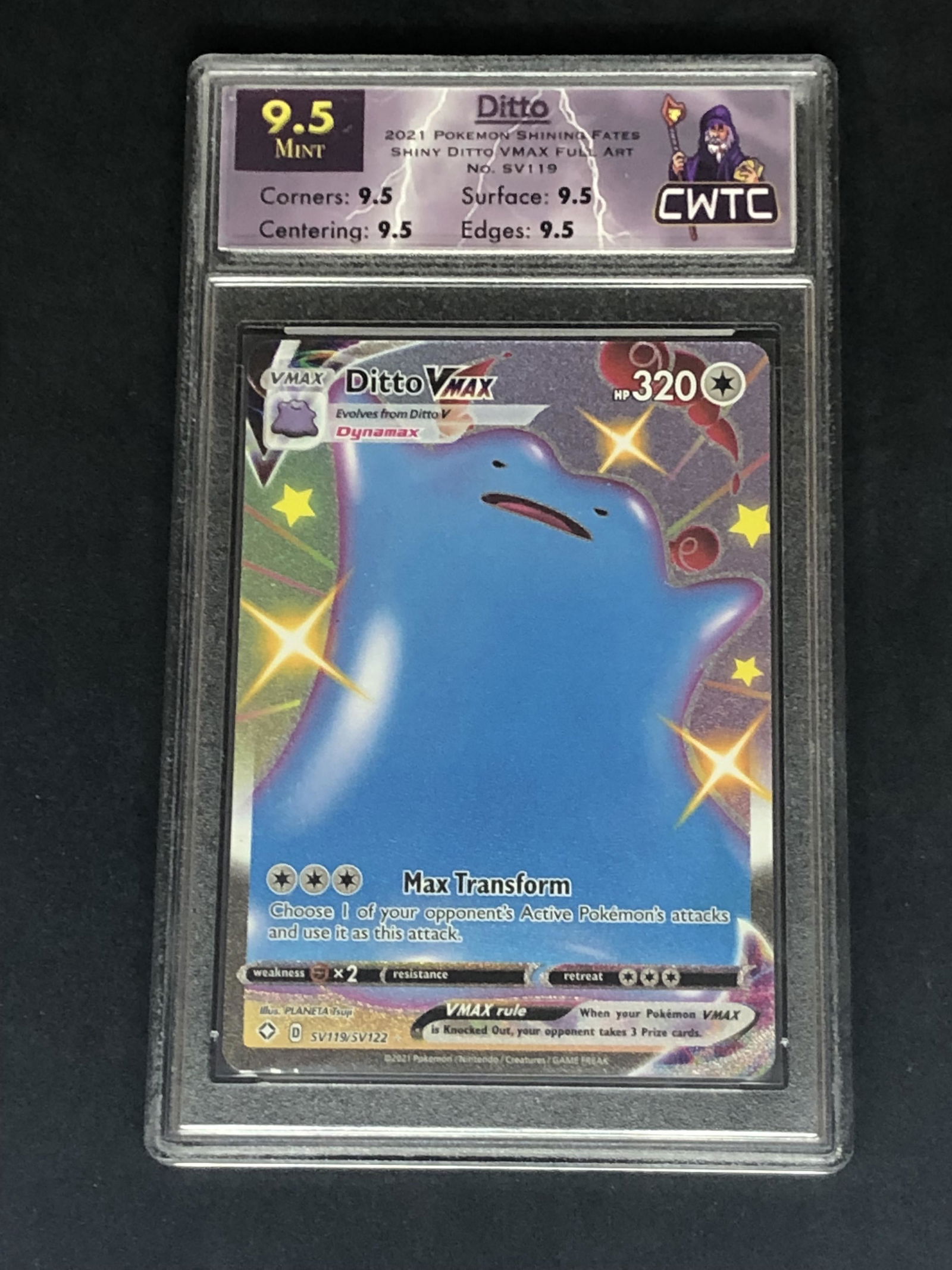 Ditto VMAX CWTC 9.5 (1 of 1)