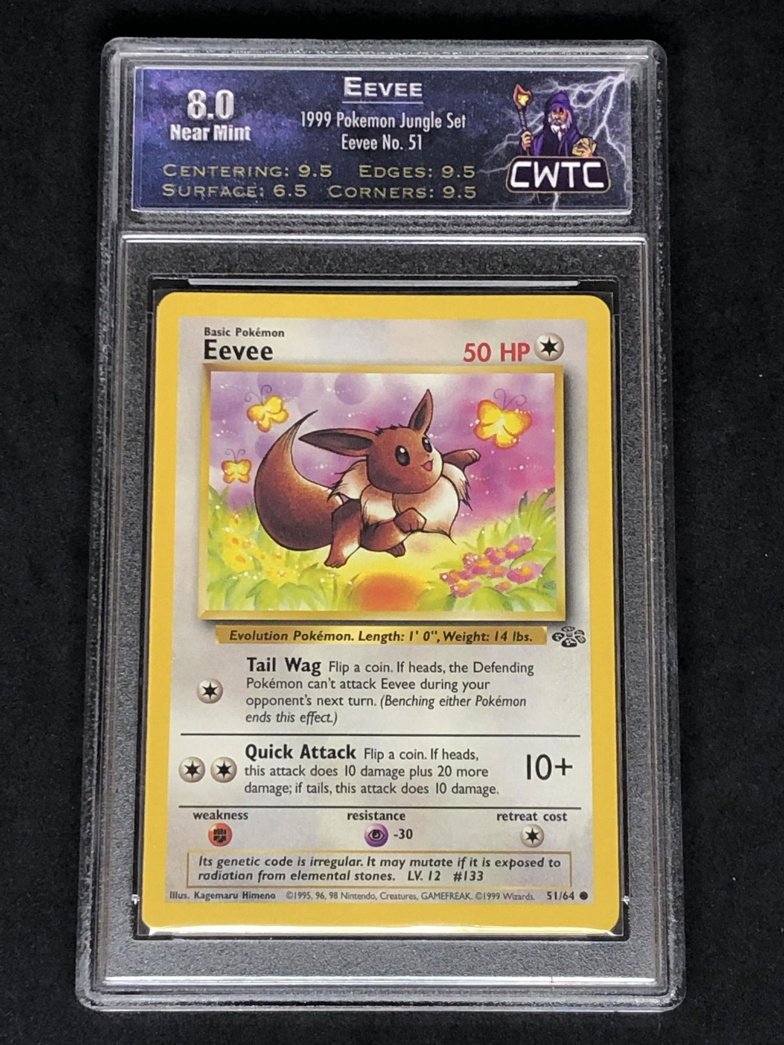 Eevee Jungle Set CWTC 8 (1 of 1)