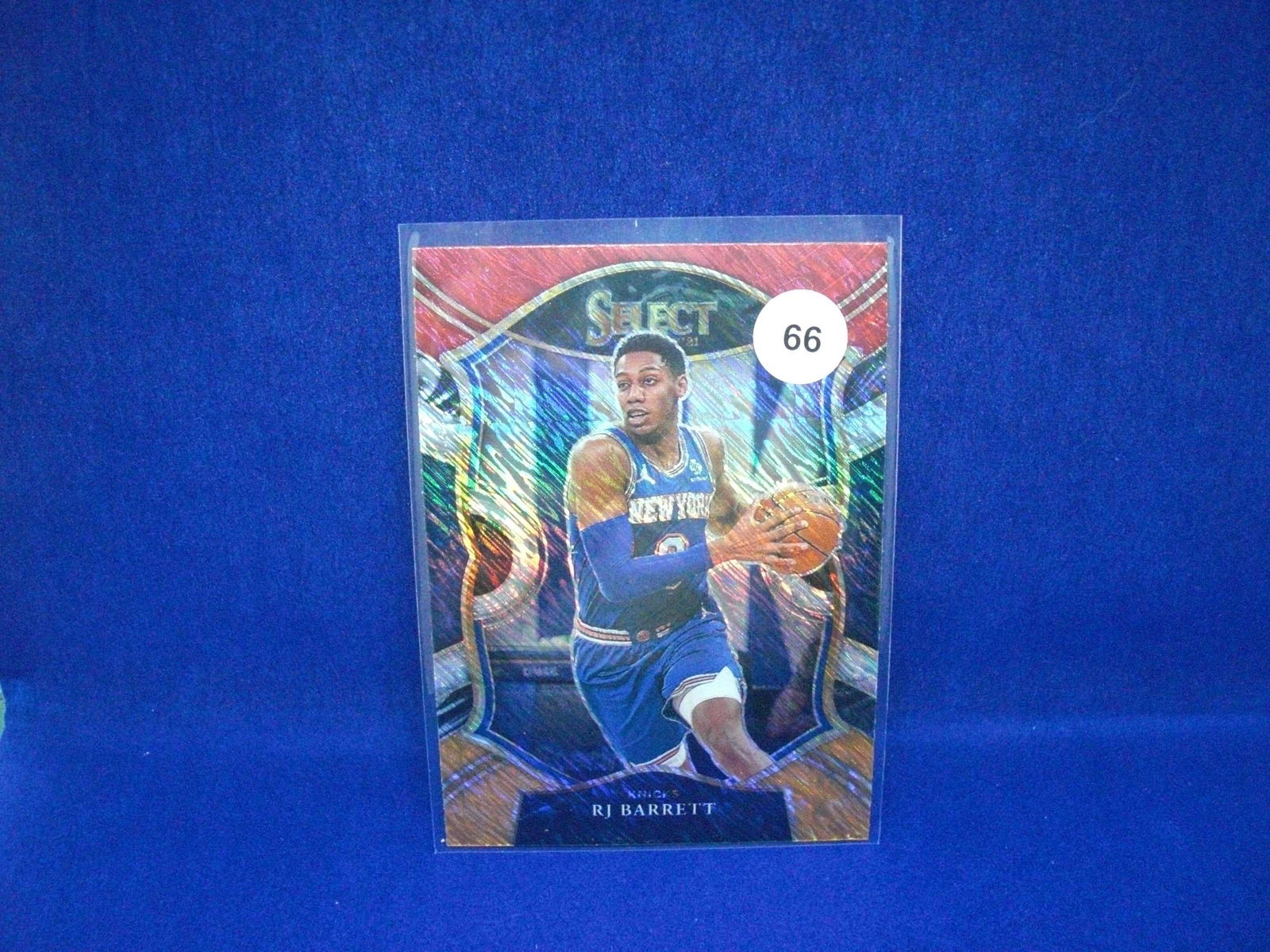 rj barrett tricolor shimmer (1 of 1)