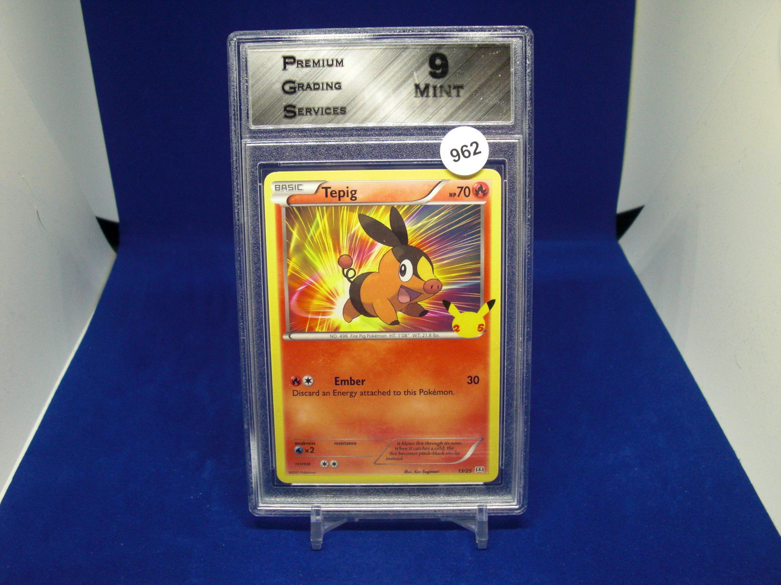 PGS 9 Mint tepig celebrations pokemon (1 of 1)