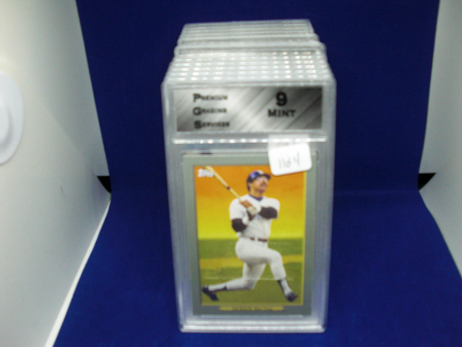 PGS 9 Mint Jackson Turkey red (1 of 1)