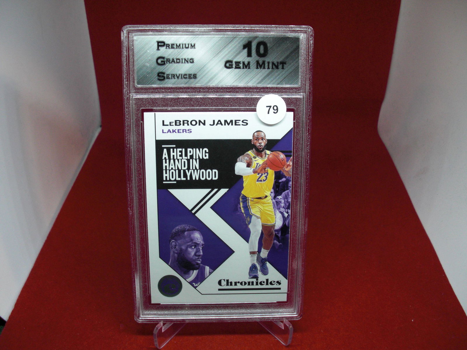 PGS Gem 10 lebron james chronicles (1 of 1)