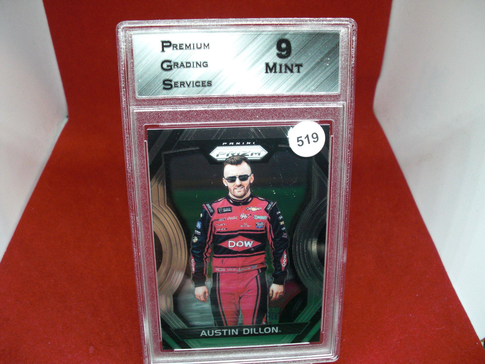 PGS 9 Austin Dillon prism NASCAR (1 of 1)