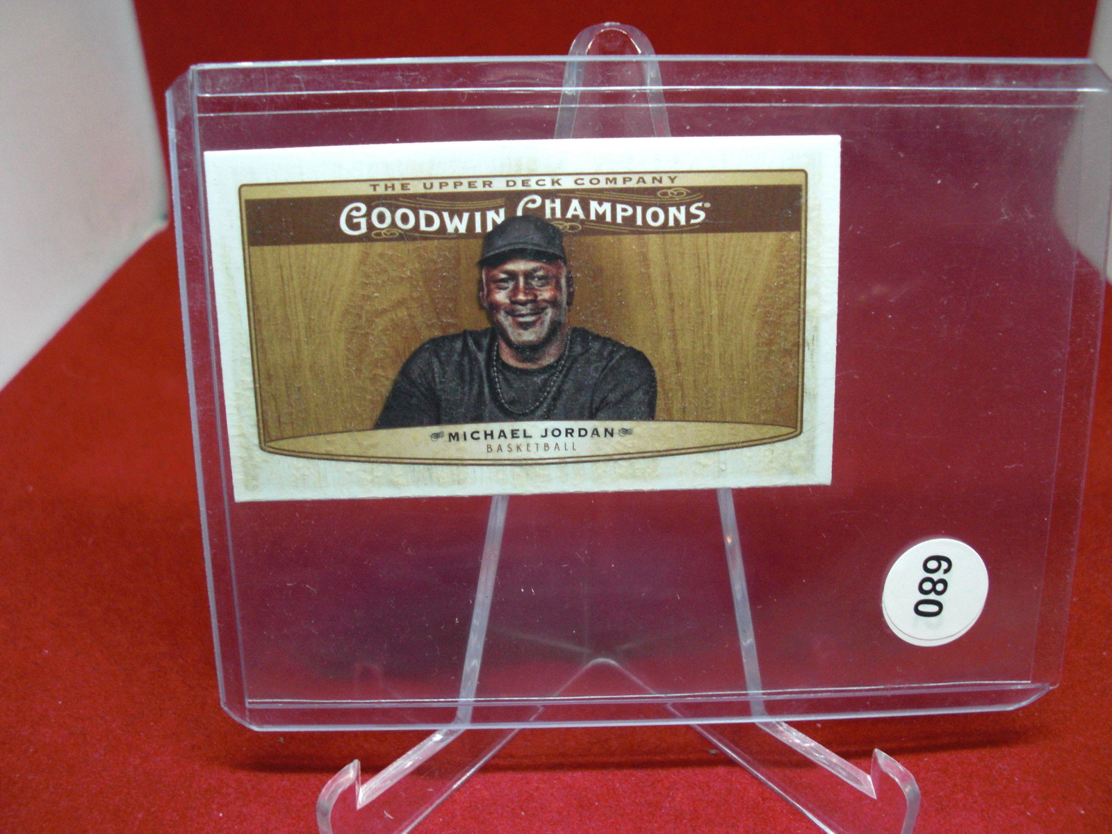 Michael Jordan Goodwin champions mini (1 of 1)