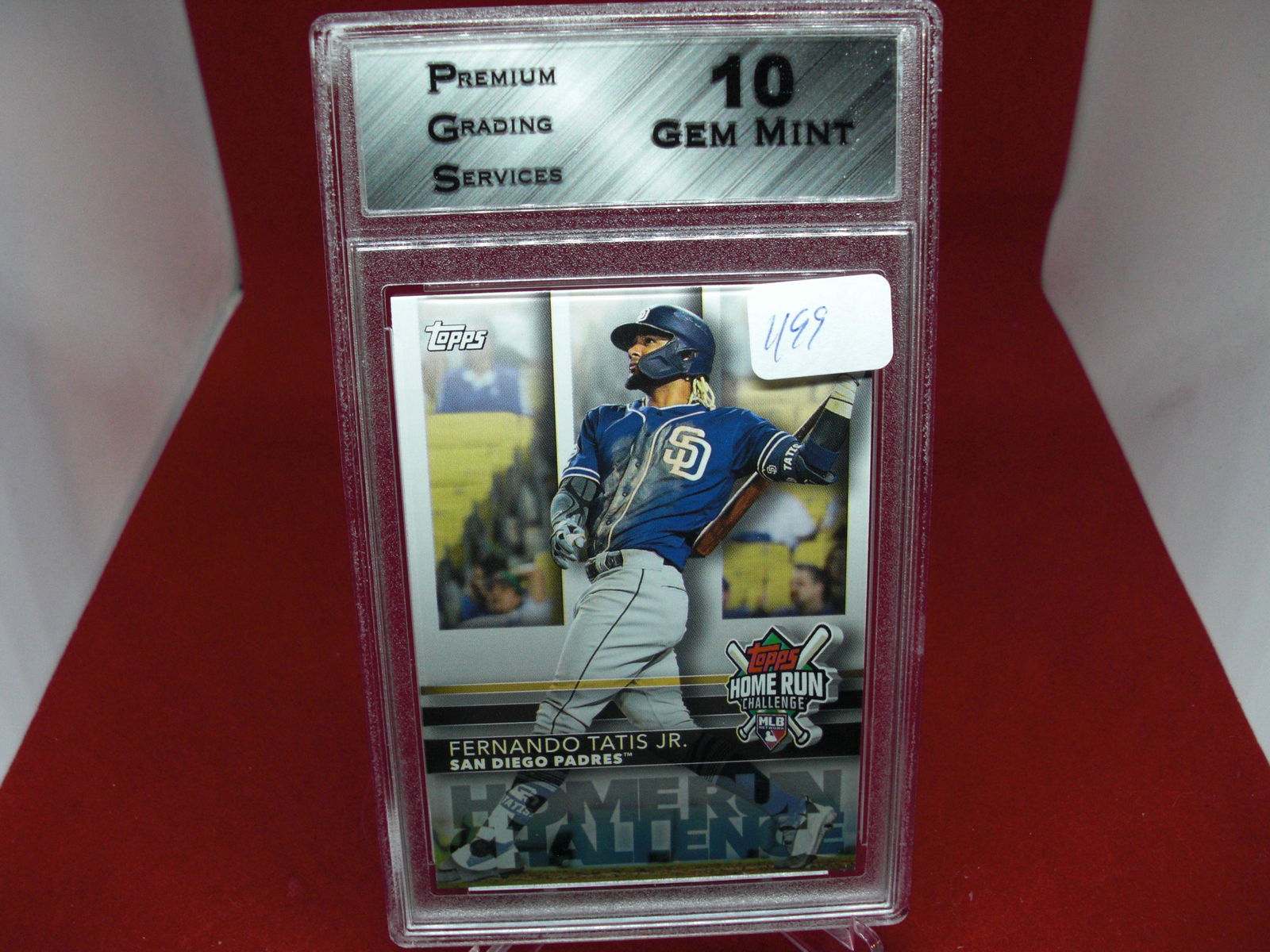 PGS 10 Fernando tatis home run challenge (1 of 1)