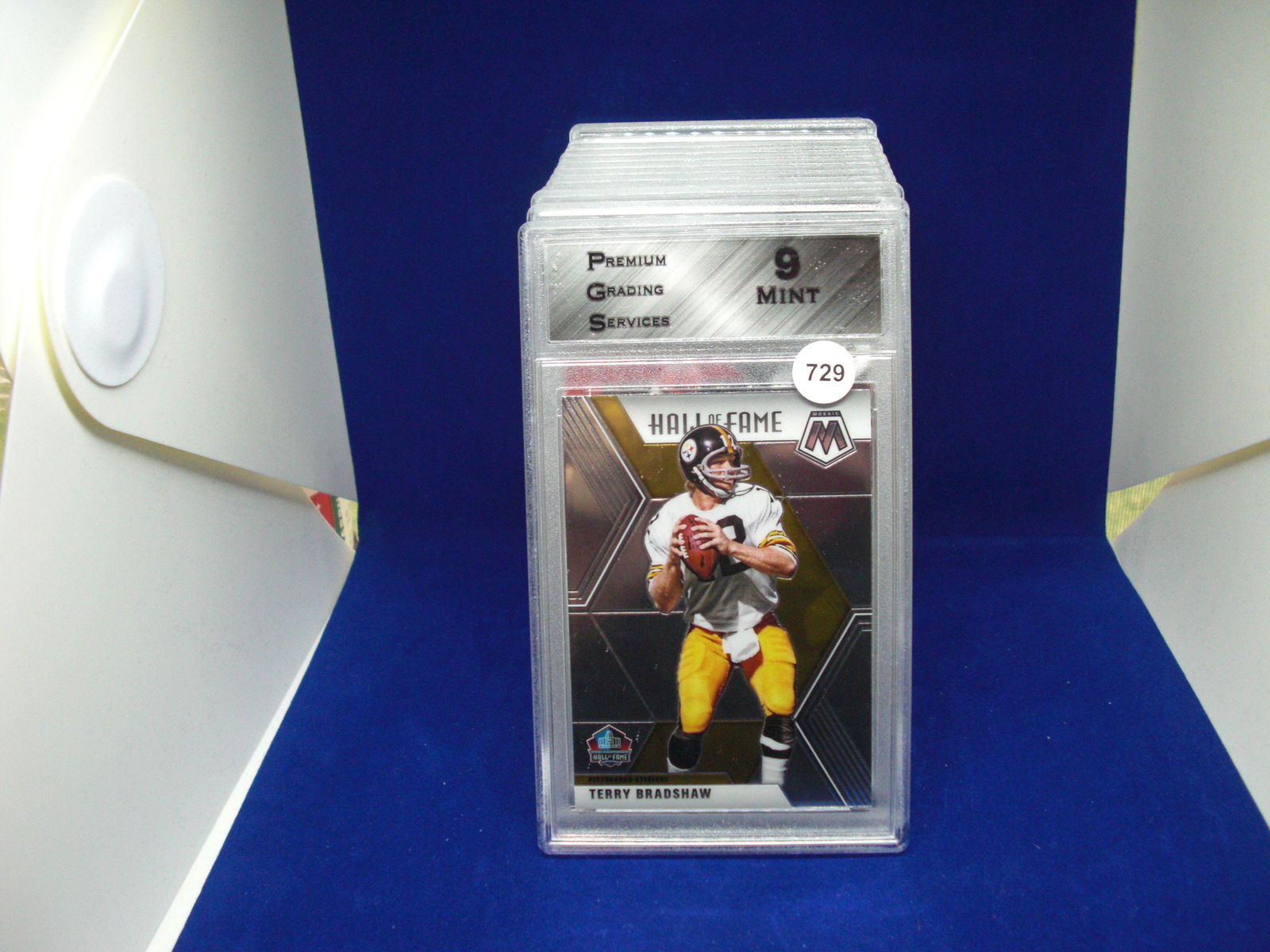 PGS 9 Terry Bradshaw Hof (1 of 1)