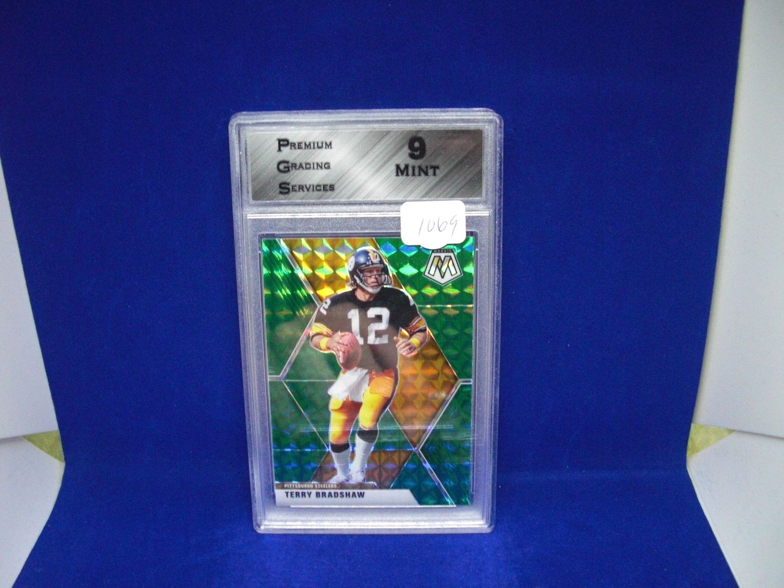 pgs 9 terry bradshaw mosaic (1 of 1)