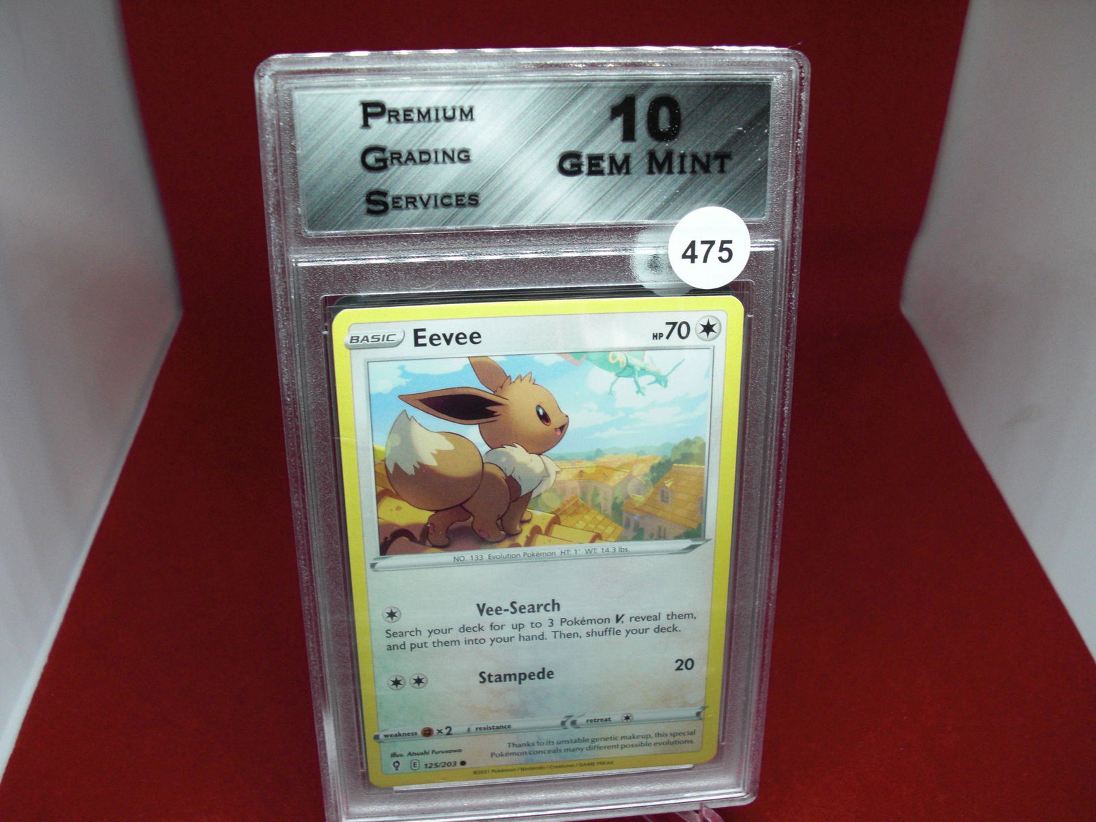 pgs graded pokemon eevee mint 10 (1 of 1)
