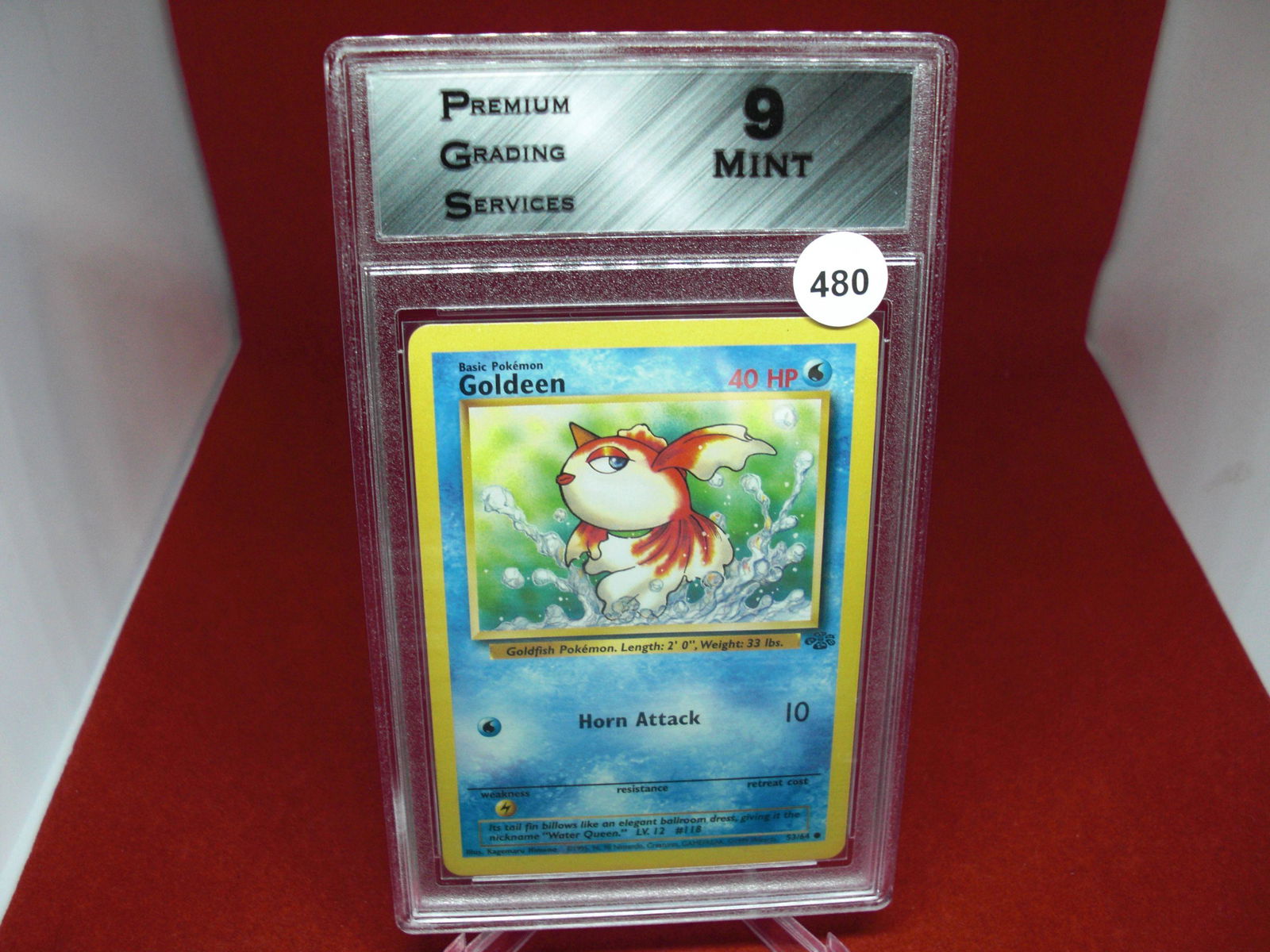 pgs graded pokemon goldeen mint 9 (1 of 1)