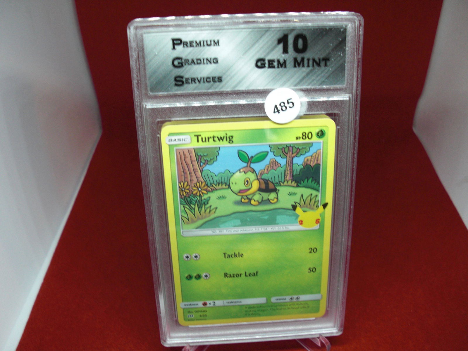 pgs graded pokemon turtwig mint 10 (1 of 1)