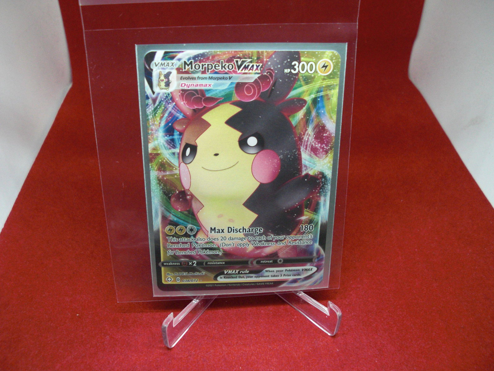 pokemon morpeko vmax: pokemon lot