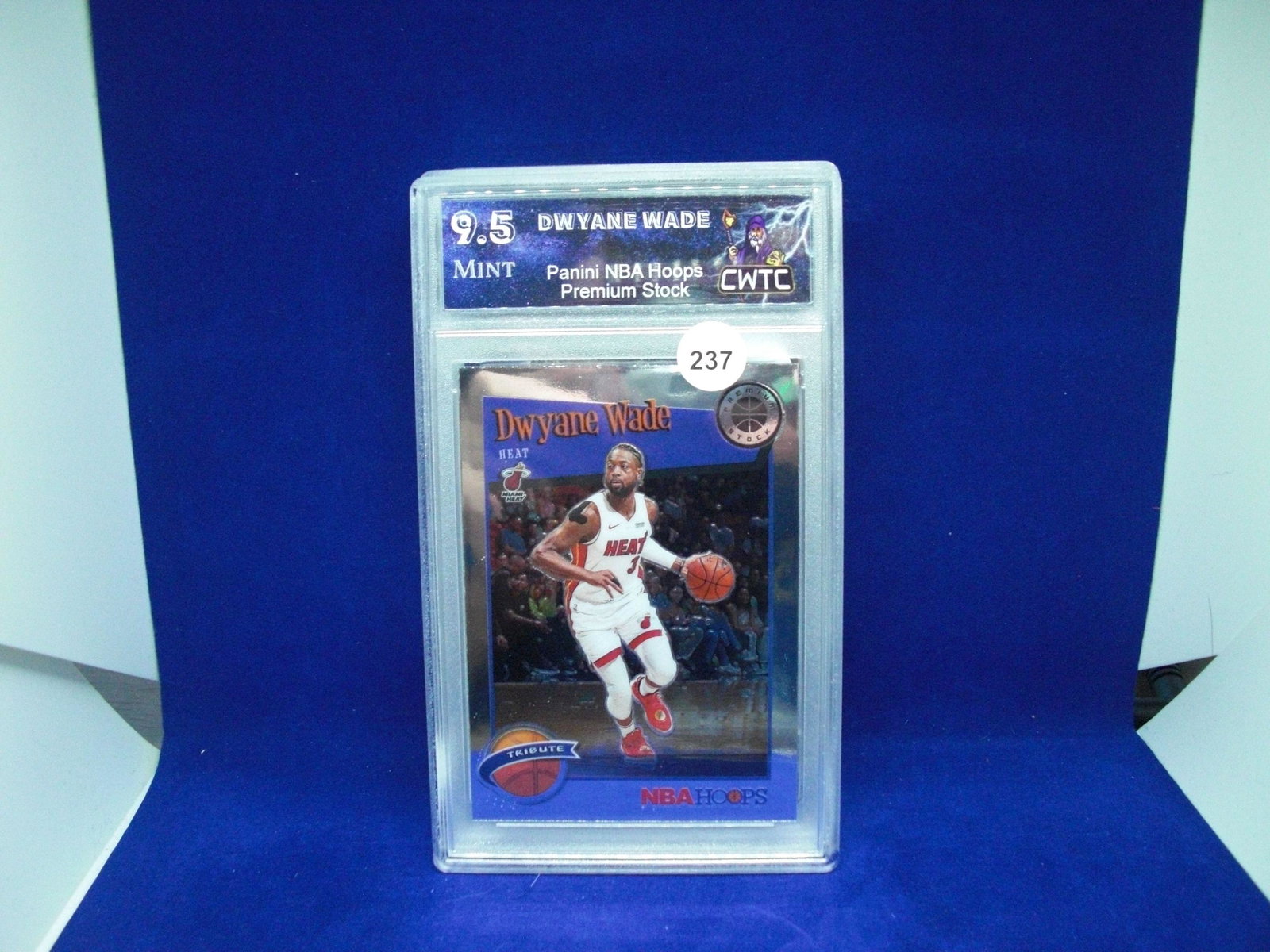 CWTC 9.5 Dwayne Wade hoops tribute (1 of 1)
