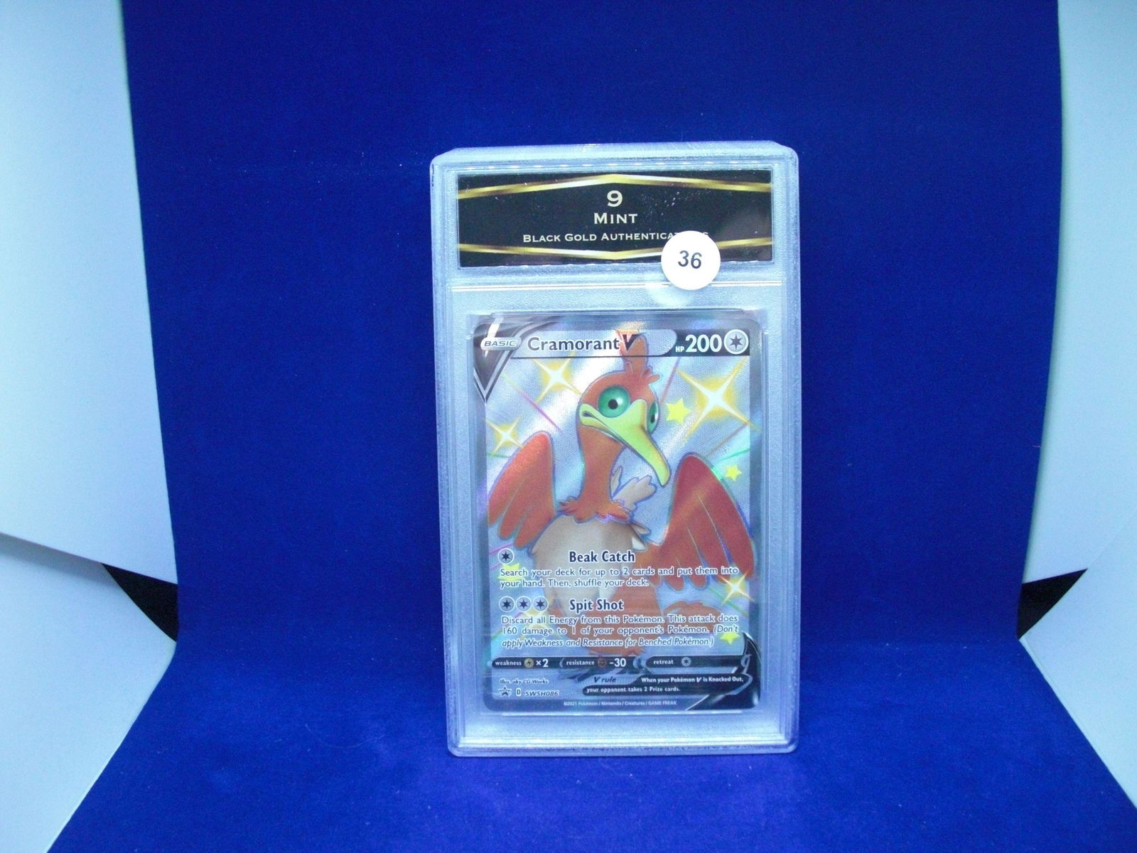 BGA 9 cramorant v pokemon (1 of 1)