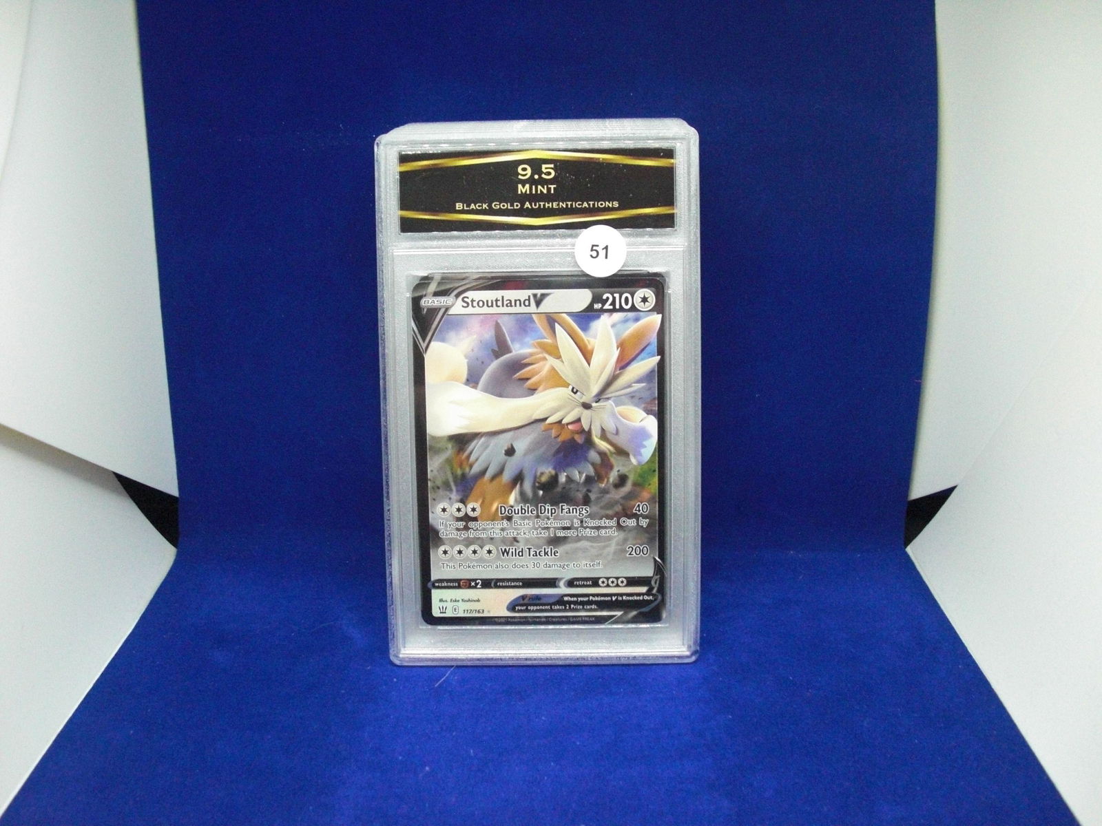 BGA 9.5 staoutland v pokemon (1 of 1)