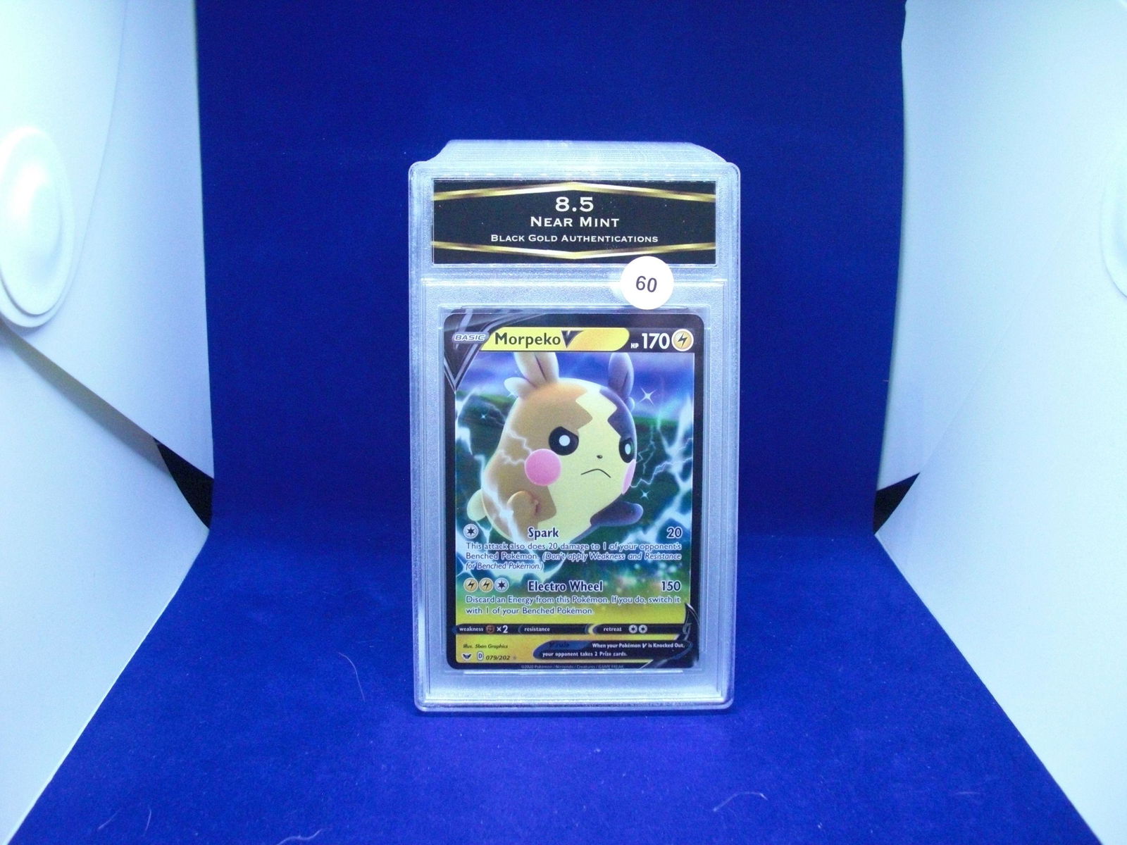 BGA 8.5 morpeko v pokemon (1 of 1)