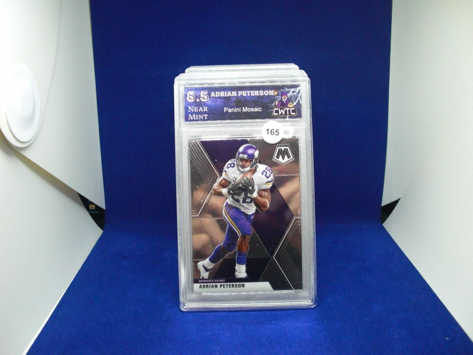 cwtc 8.5 adrian peterson mosaic (1 of 1)