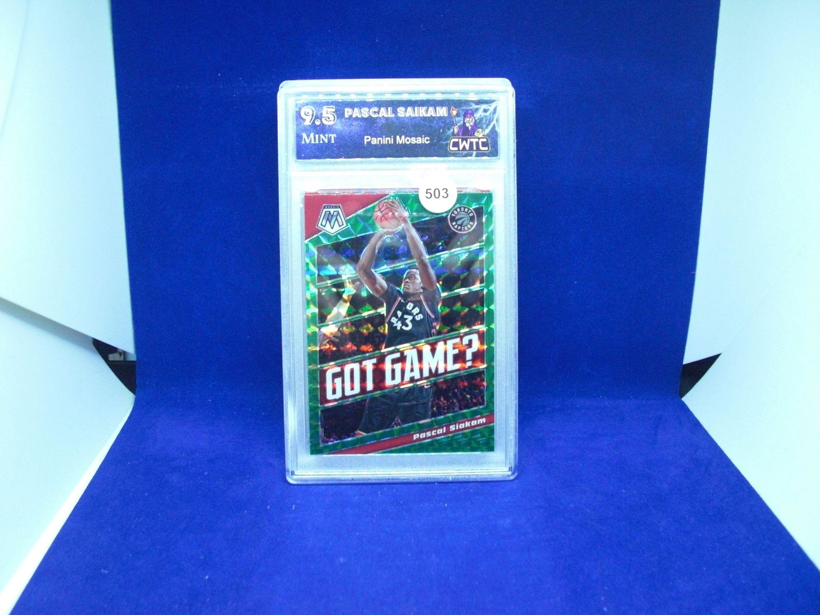 CWTC 9.5 Pascal saikam green mosaic (1 of 1)