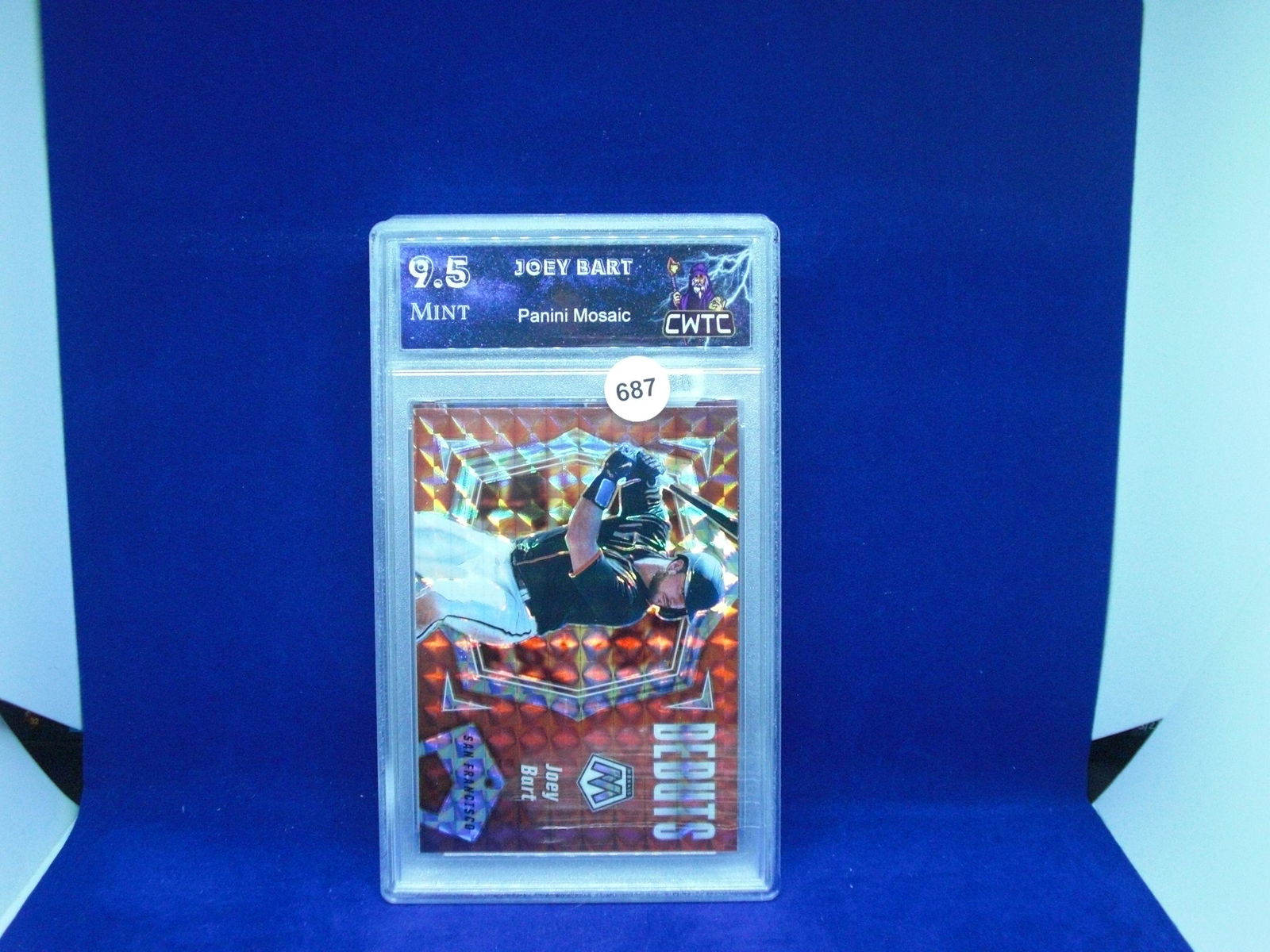 cwtc 9.5 joey bart orange mosaic (1 of 1)