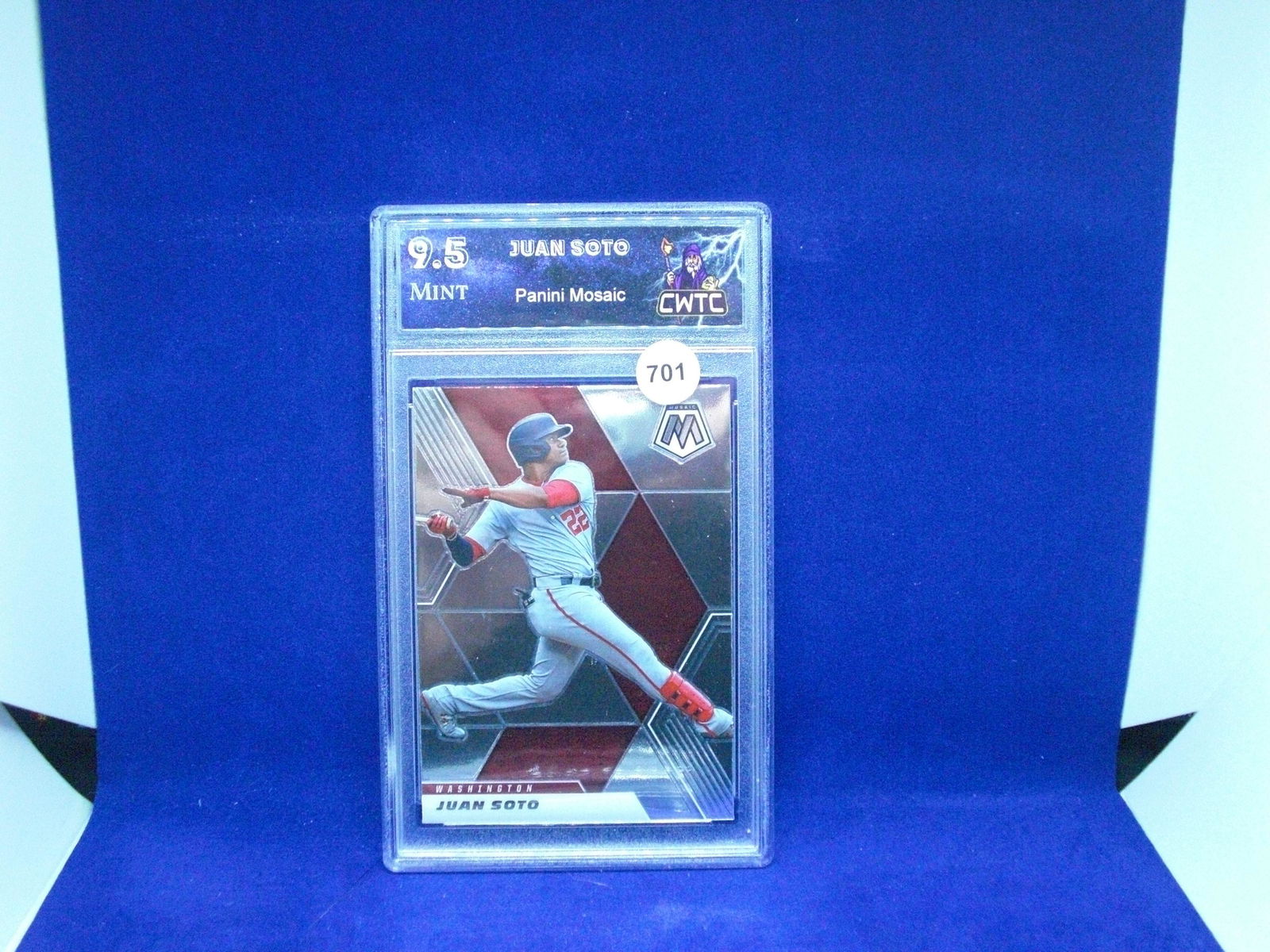 cwtc 9.5 juan soto mosaic (1 of 1)