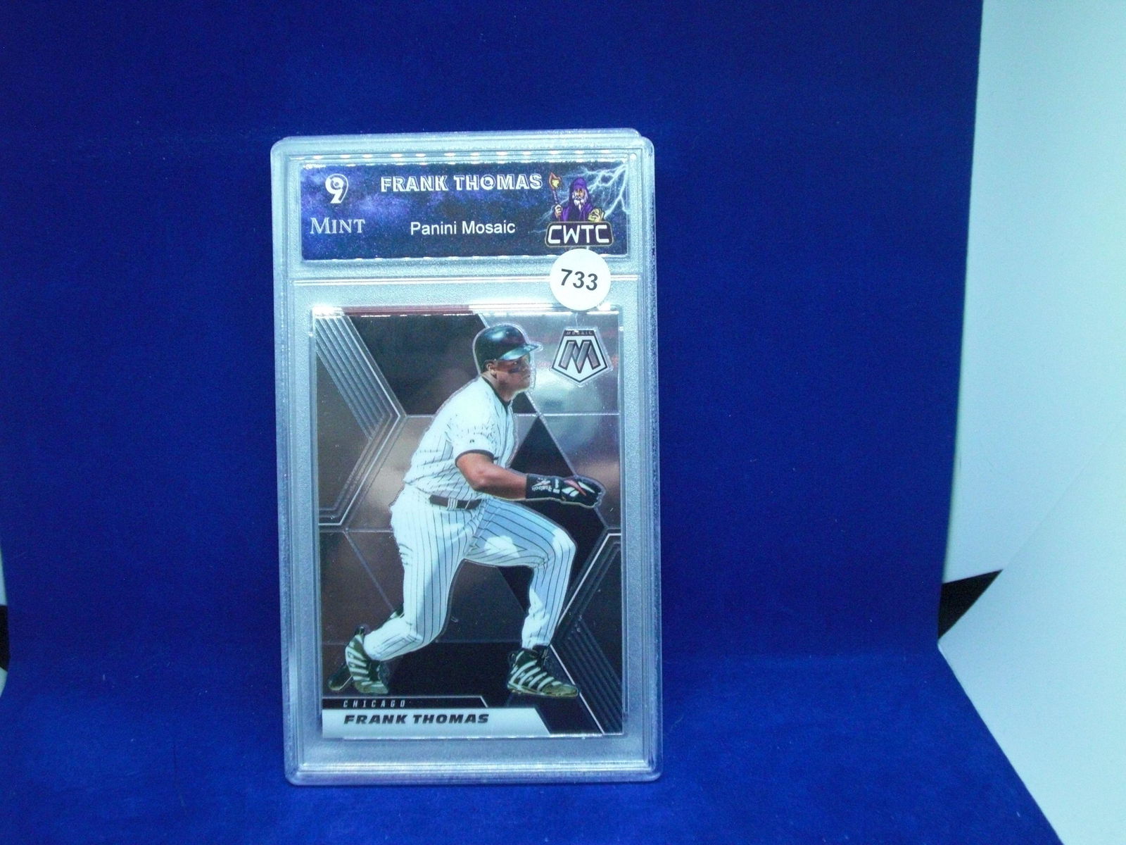 cwtc 9 frank thomas mosaic (1 of 1)