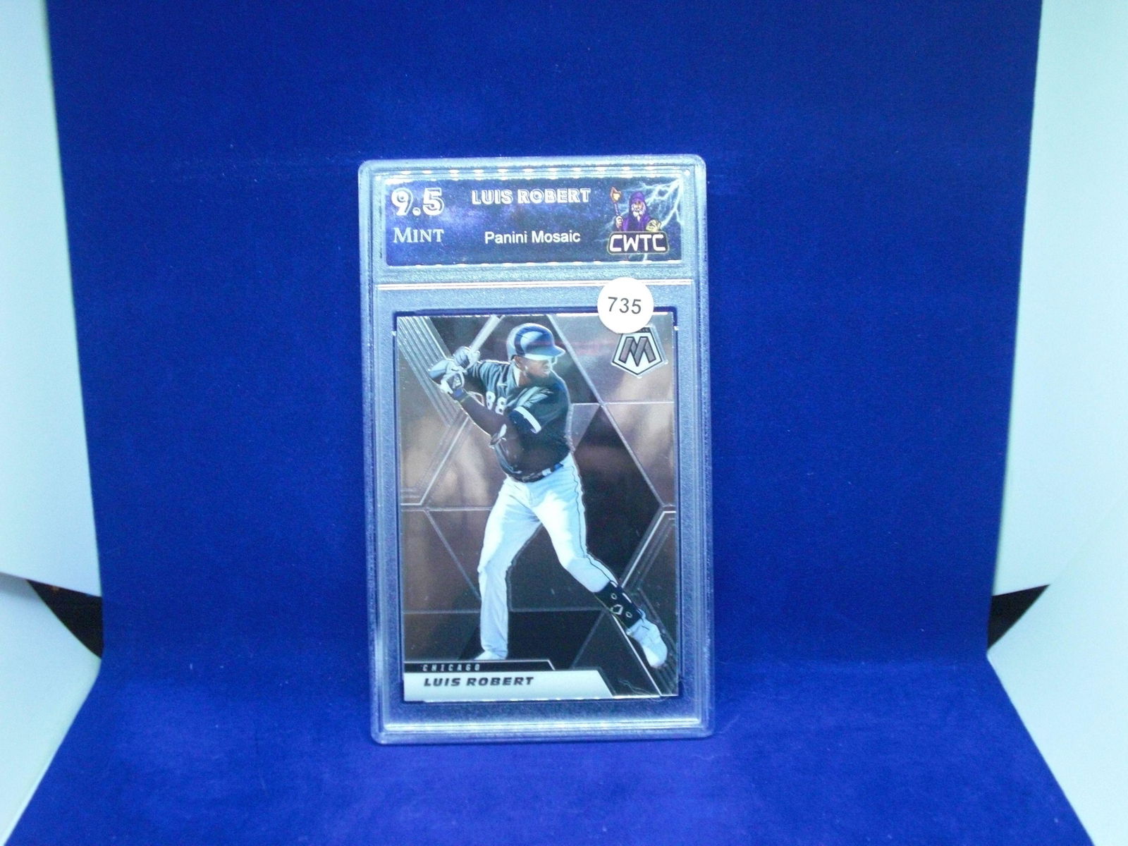 cwtc 9.5 luis robert mosaic (1 of 1)