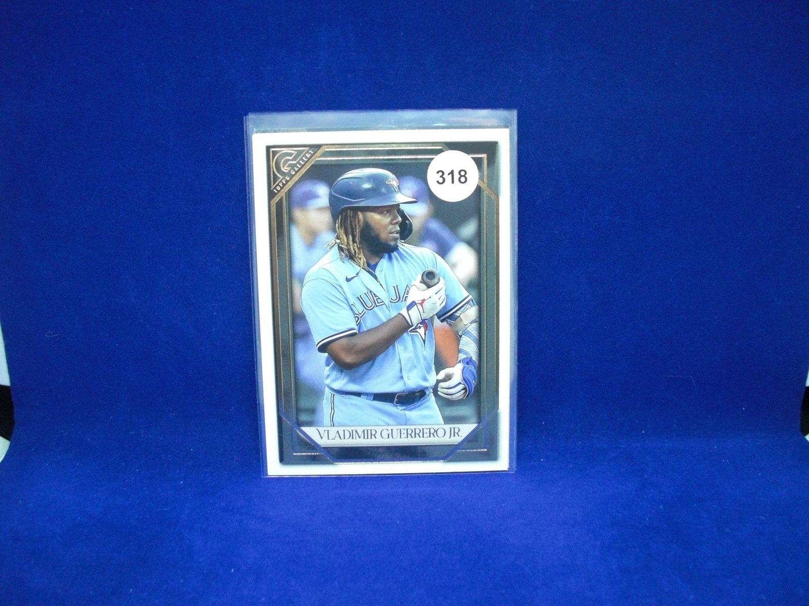 Vladimir Guerrero junior topps gallery (1 of 1)