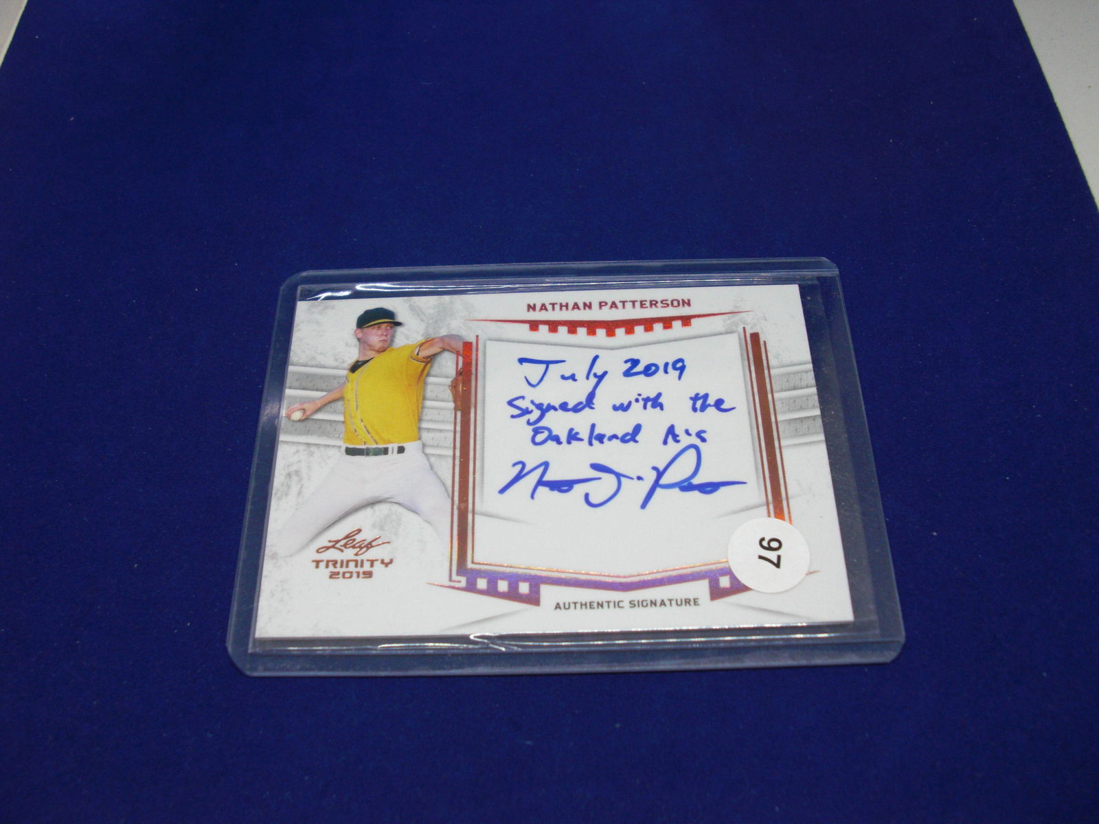 nathan patterson leaf trinity auto (1 of 1)