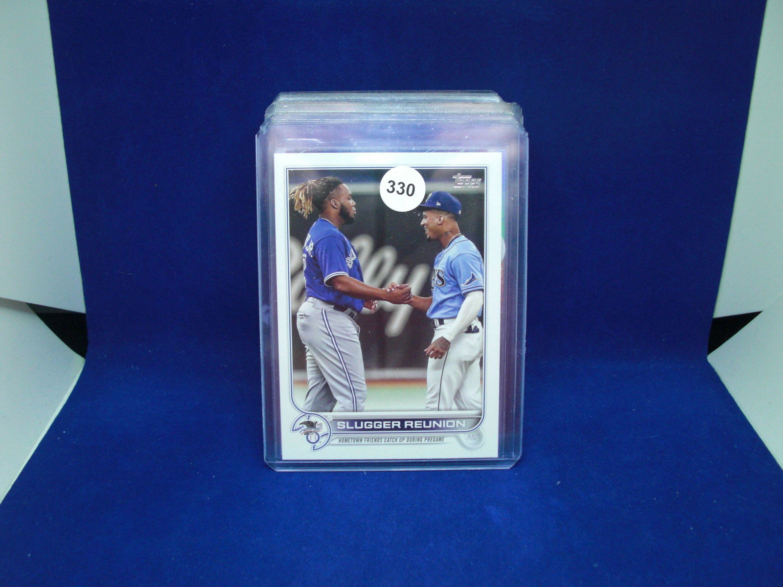 vladdy jr and wander franco insert card: vladdy jr and wander franco insert card