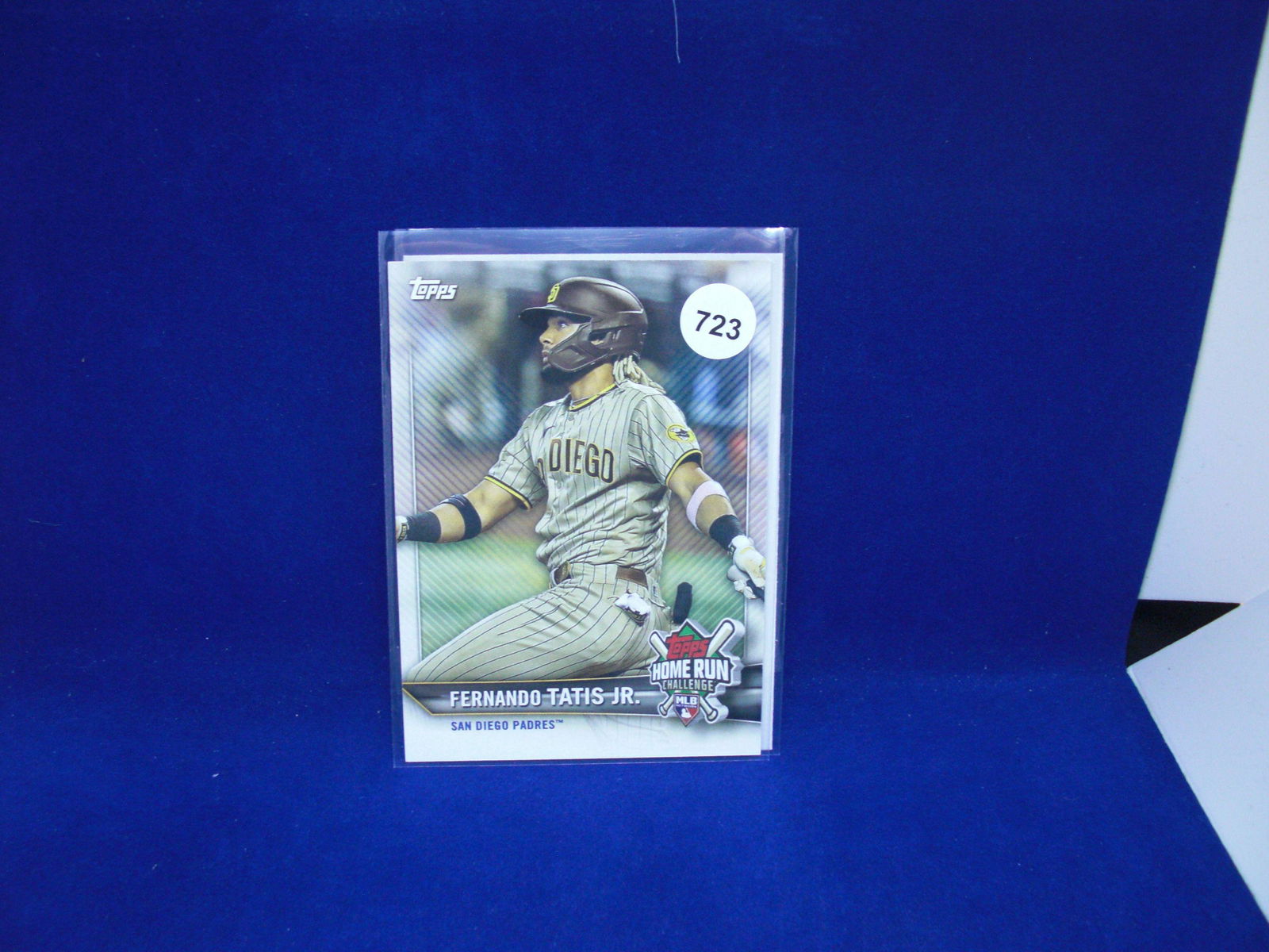 2020 topps holiday sealed pack (1 of 1)