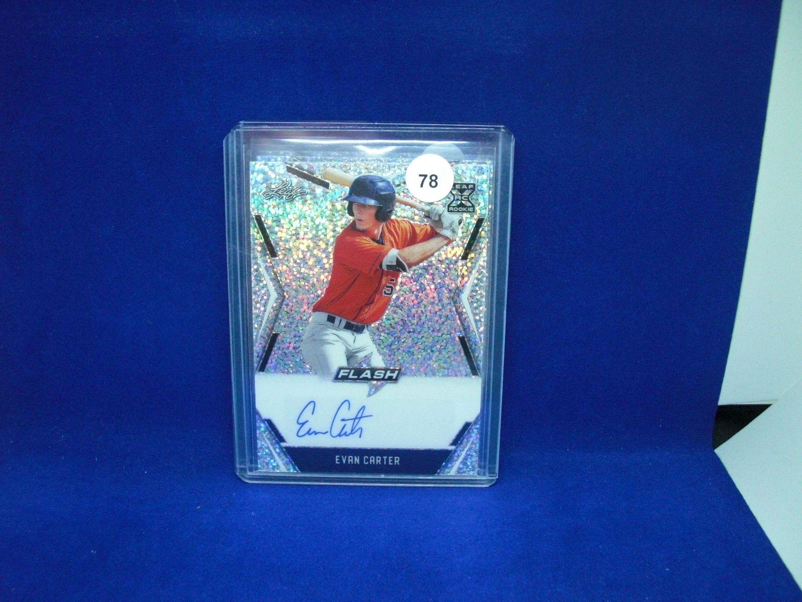Evn carter leaf flash auto (1 of 1)