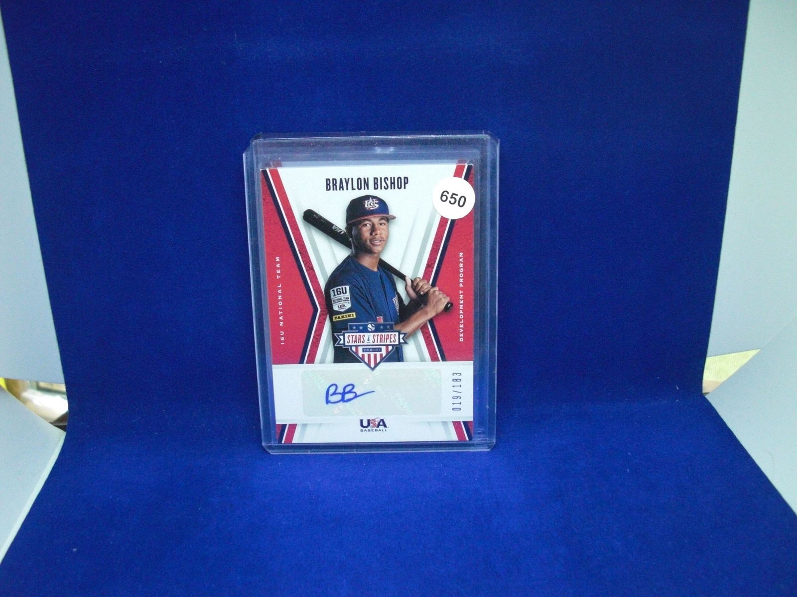 braylon bishop team usa auto 019/183 (1 of 1)