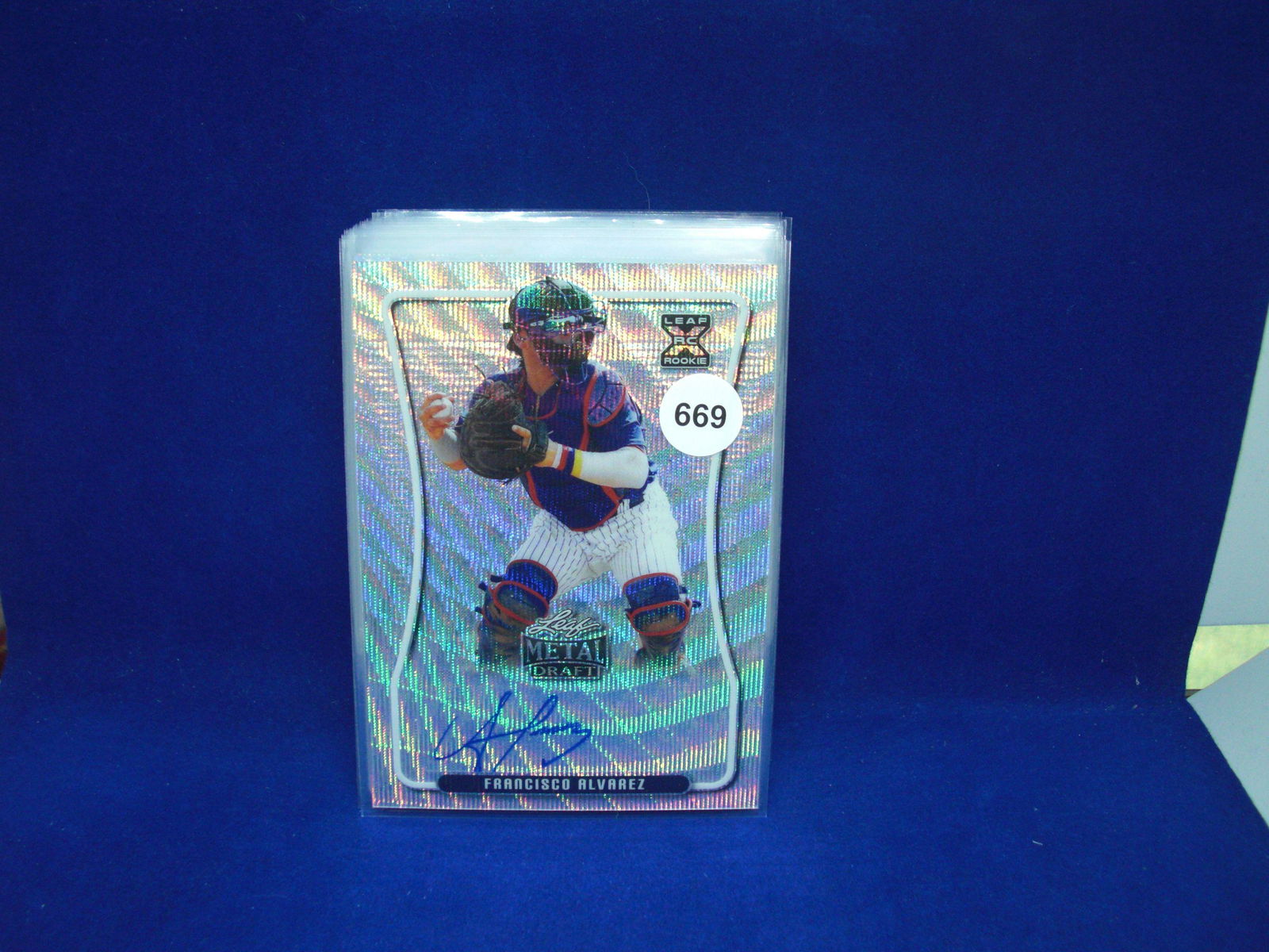 fransisco riverez leaf metal auto (1 of 1)
