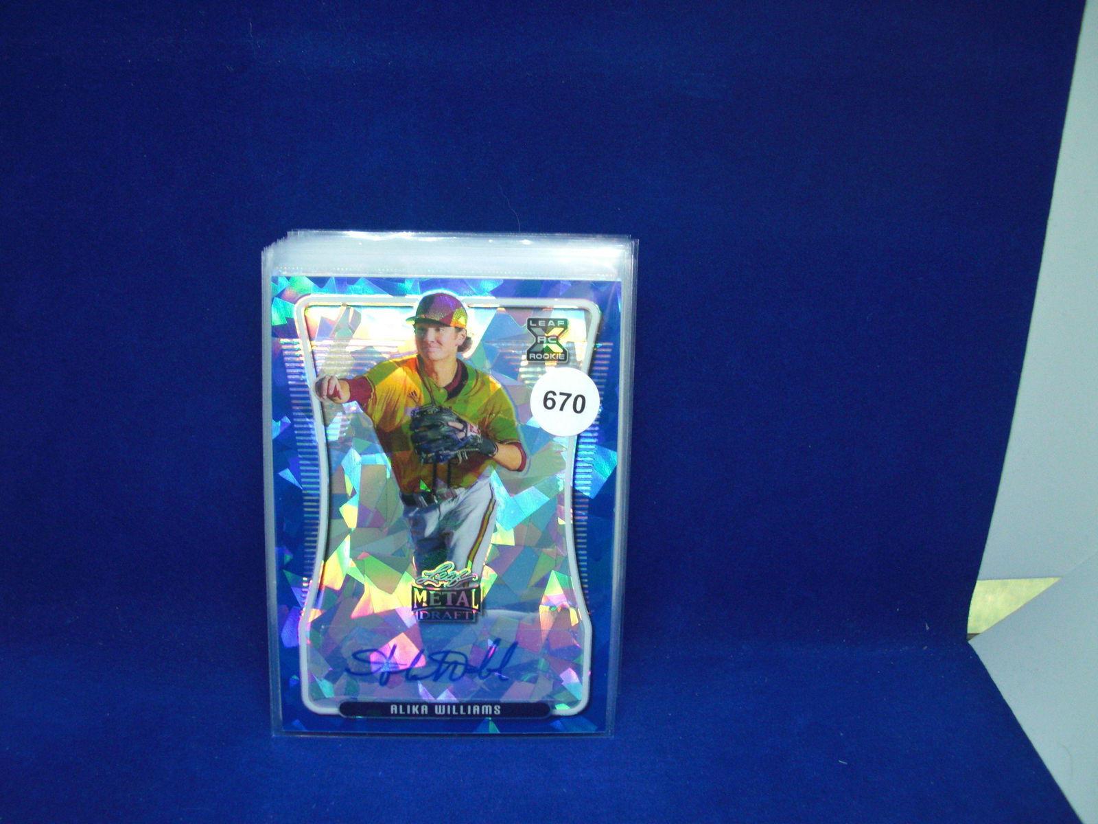 alika williams leaf metal auto 5/16 (1 of 1)