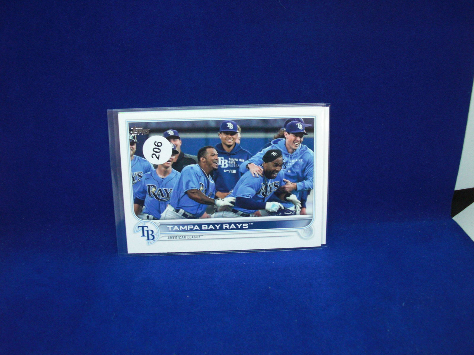 wander franco tampa bay rays team card: wander franco tampa bay rays team card