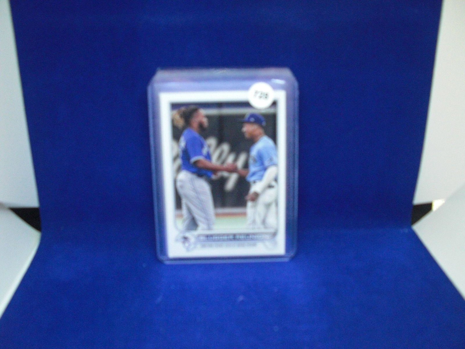 vladdy jr. wander franco combo card: vladdy jr. wander franco combo card