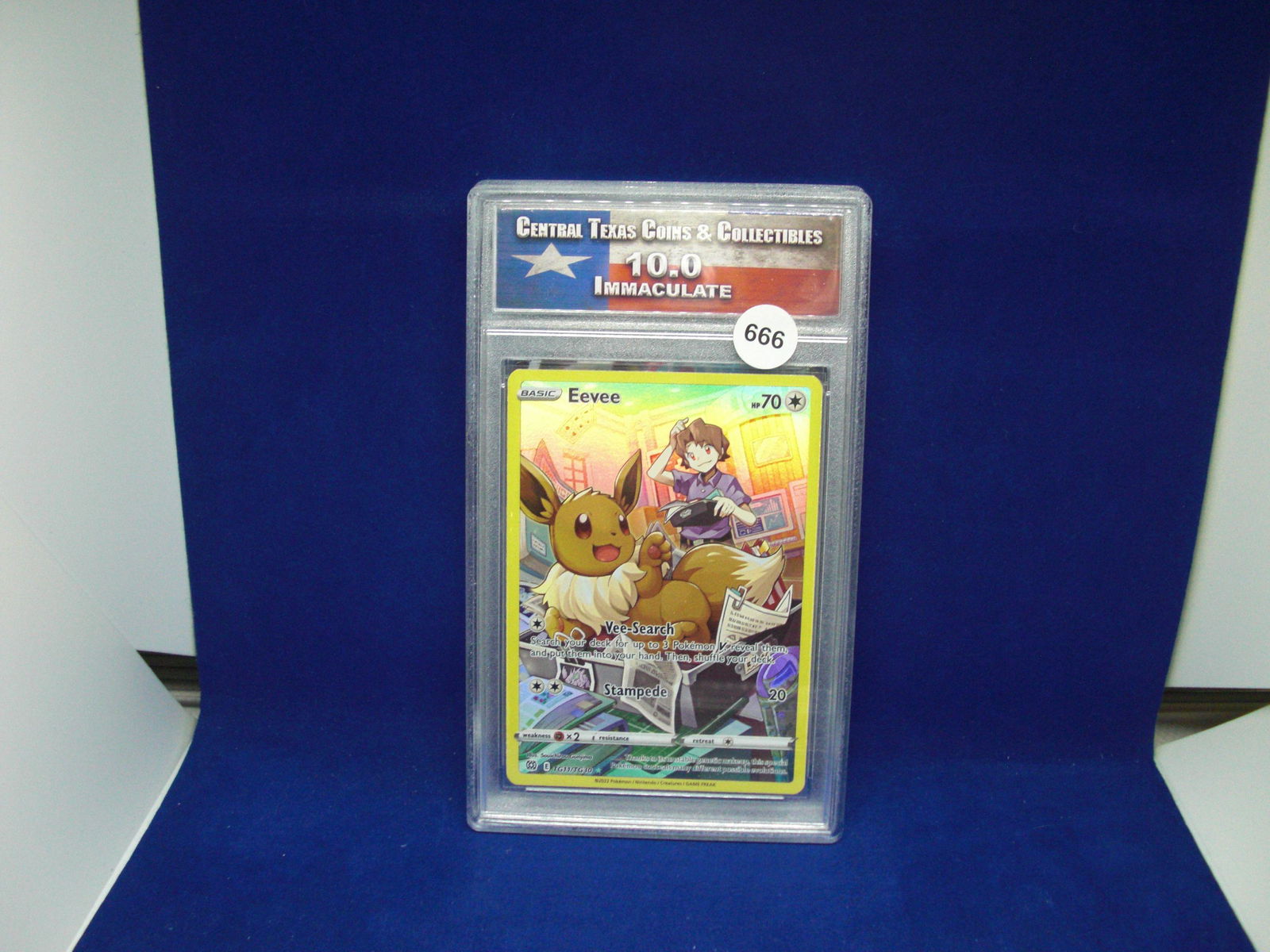 ctcc graded pokemon eevee mint 10 (1 of 1)
