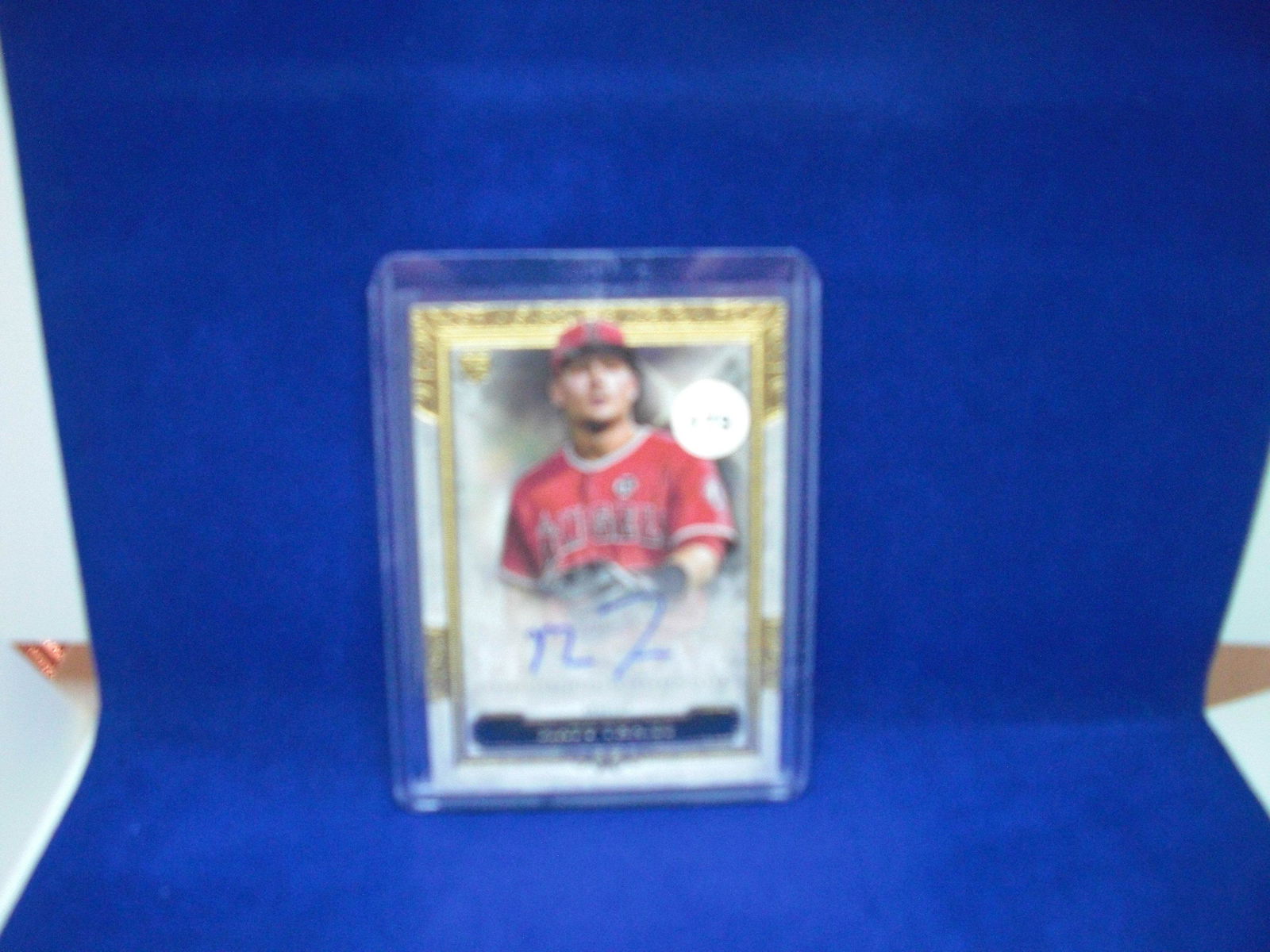 matt thaiss auto rookie (1 of 1)