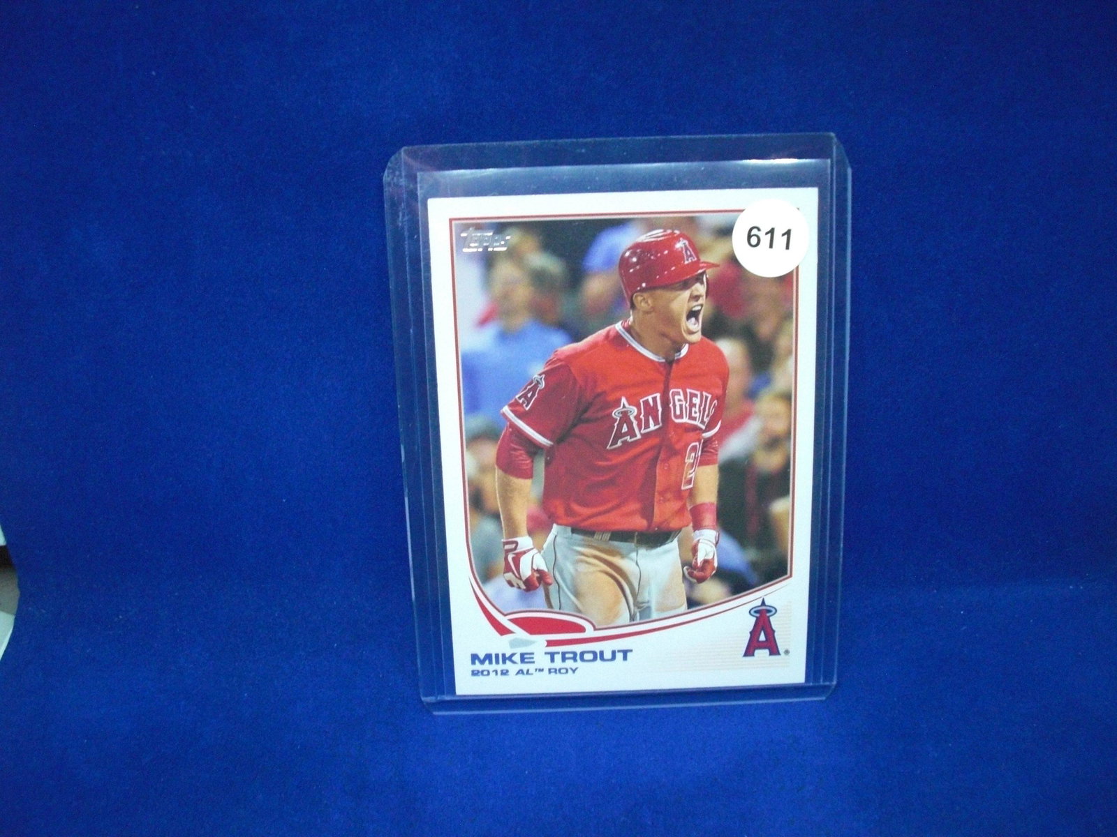 mike trout: in top loader