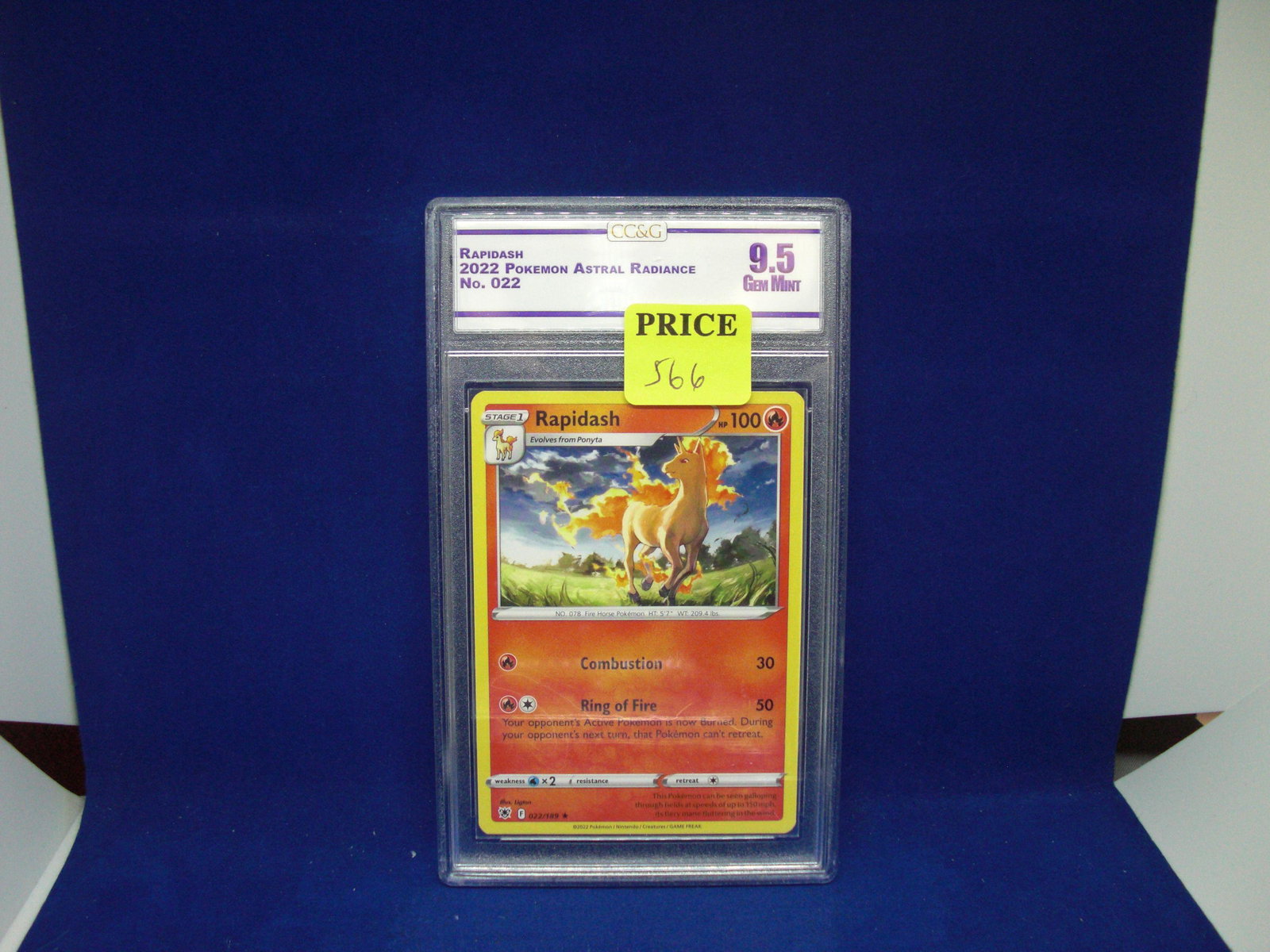 ccg graded pokemon mint 9.5 rapidash: nice graded card