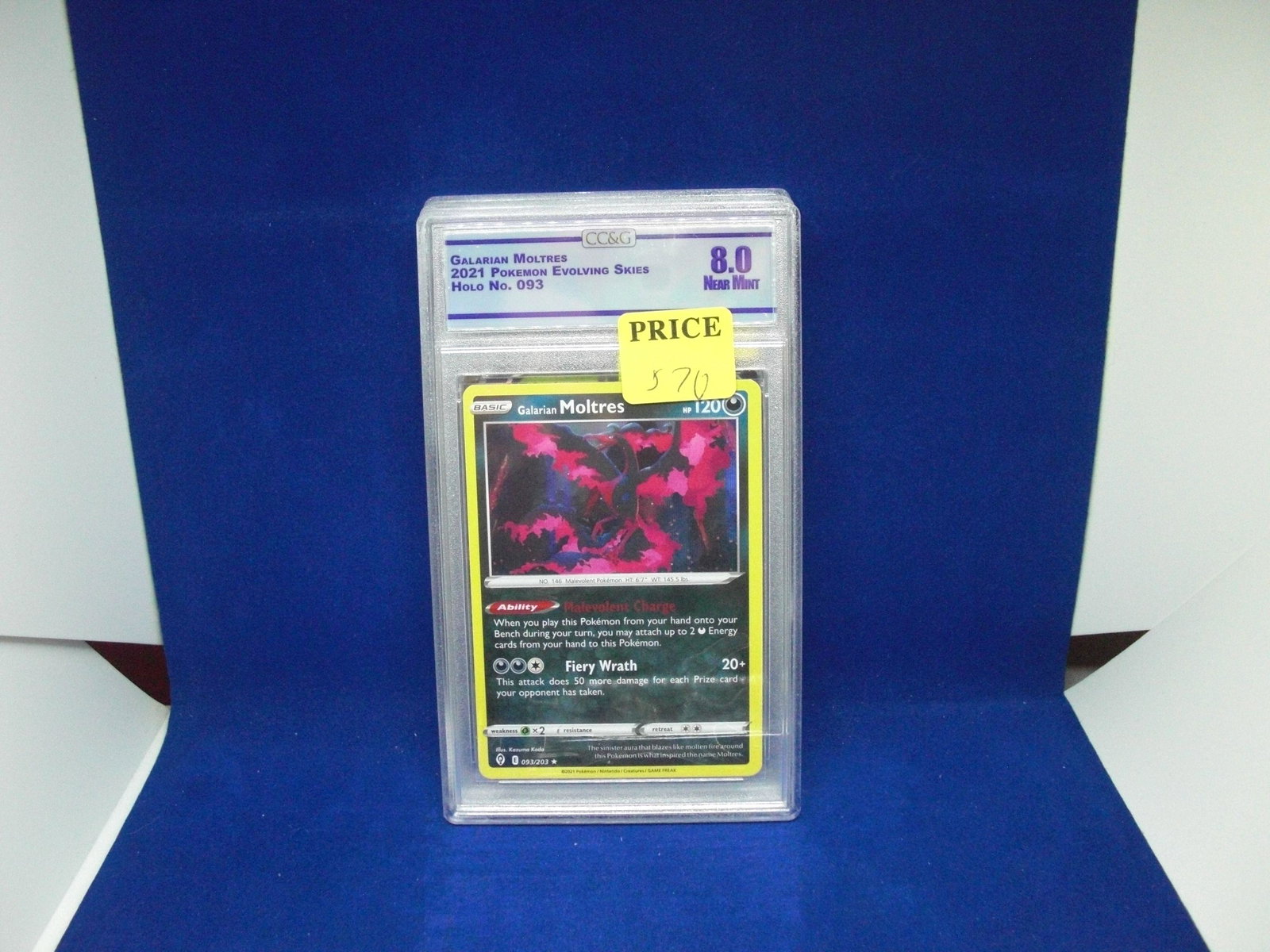 ccg graded pokemon mint 8 moltres holo: nice graded card