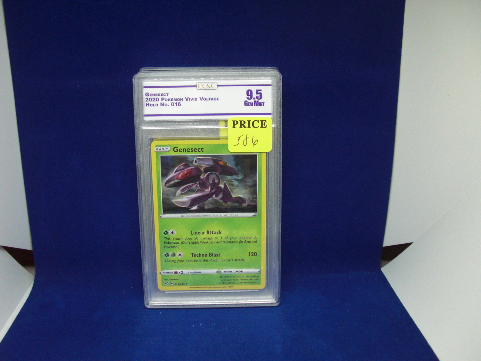 ccg graded pokemon mint 9.5 genesect holo: nice graded card