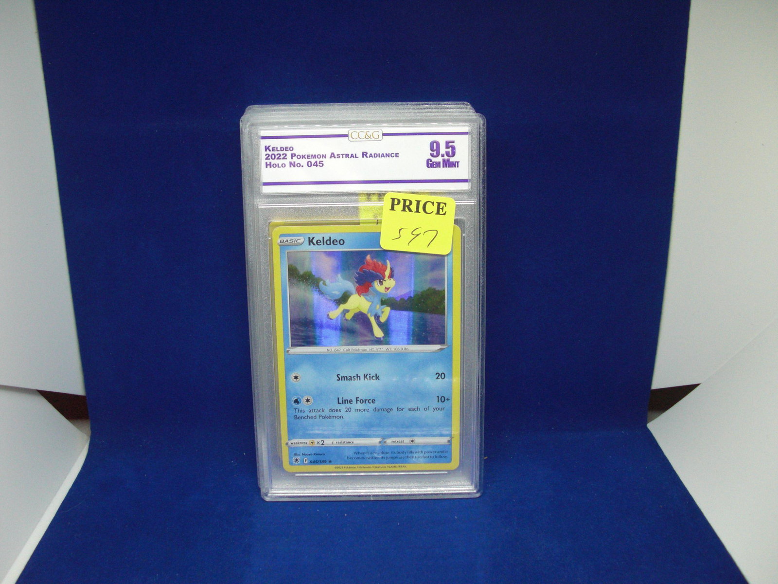 ccg graded pokemon mint 9.5 keldeo holo: nice graded card