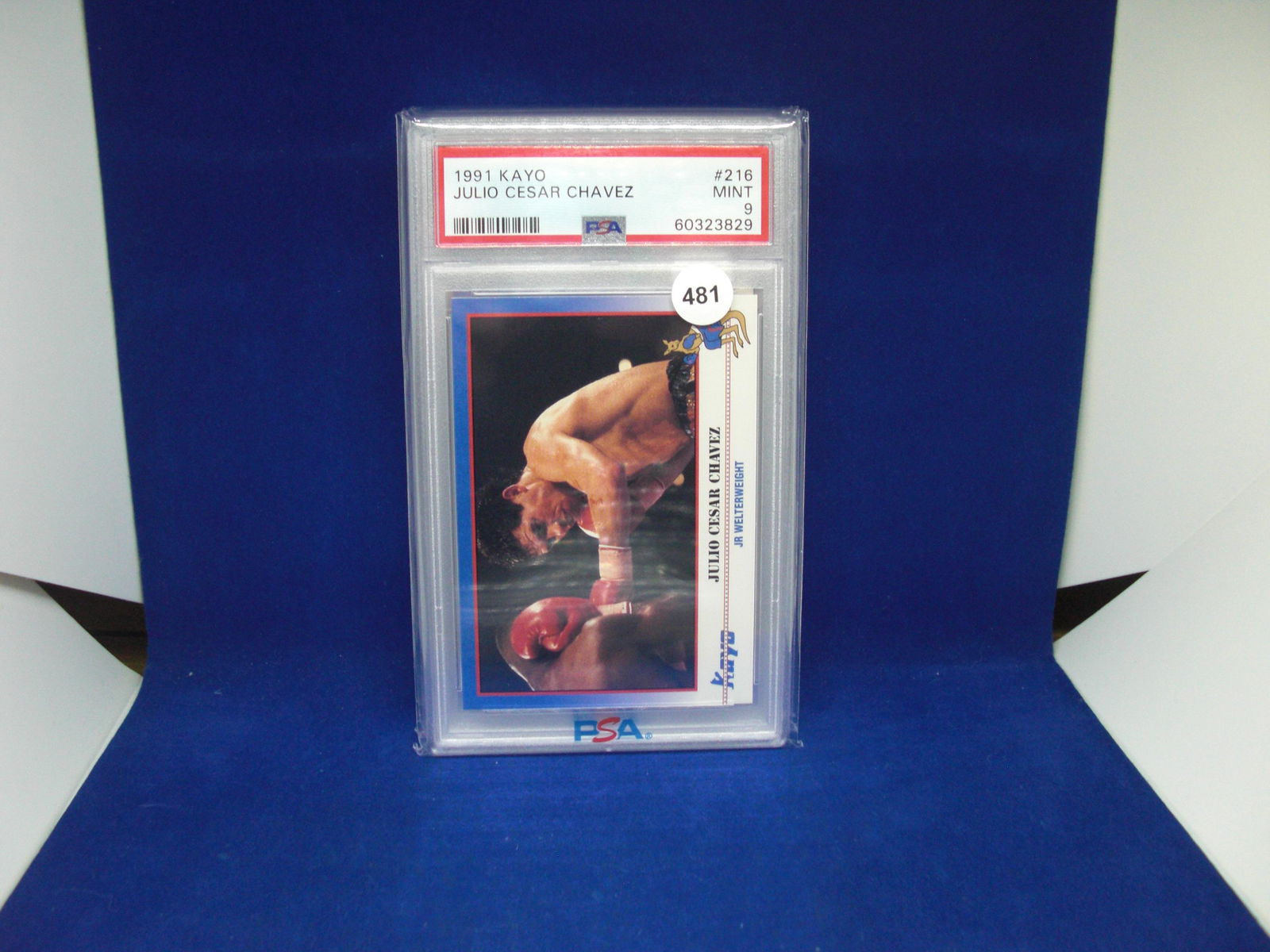 PSA 9 1991 kayo Julio Cesar Chavez (1 of 1)