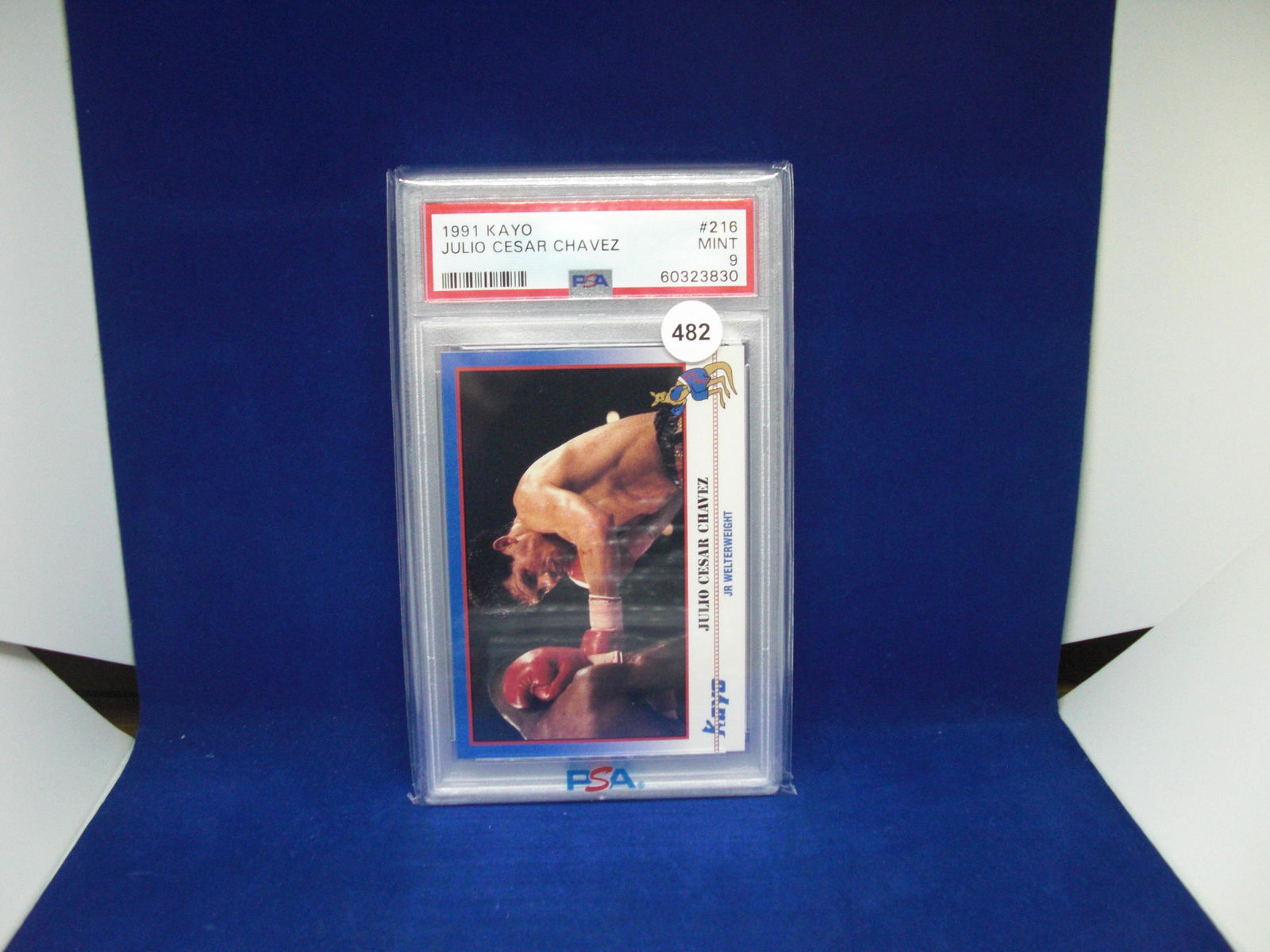 PSA 9 1991 kayo Julio Cesar Chavez (1 of 1)