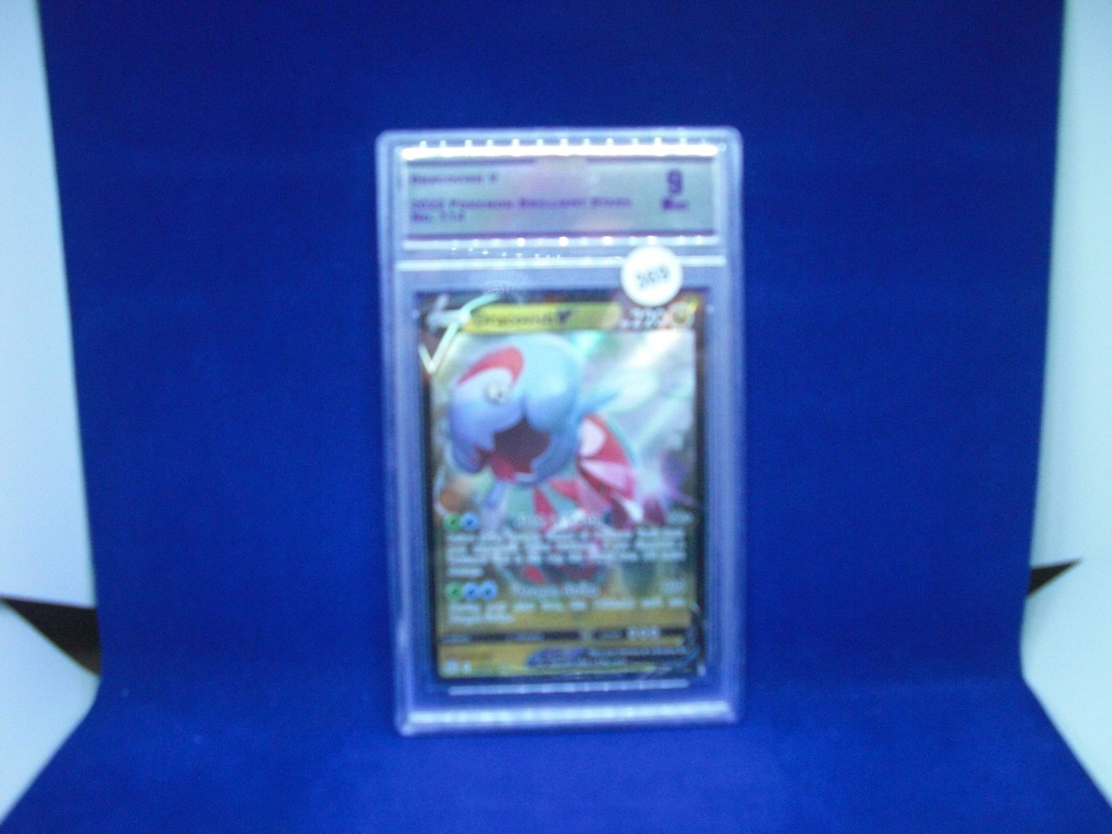 cc&g graded mint 9 dracovish v (1 of 1)