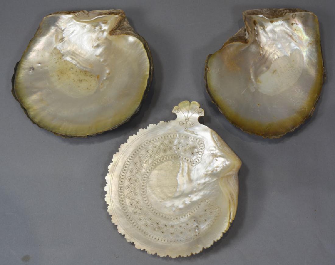 19th C. Decorated Oyster Shell Candy Dish: Along with two other Oyster Shells, decorated shell being 6 1/2" x 5 1/2".