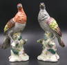 TWO 19TH. CONTINENTAL BIRD FIGURES