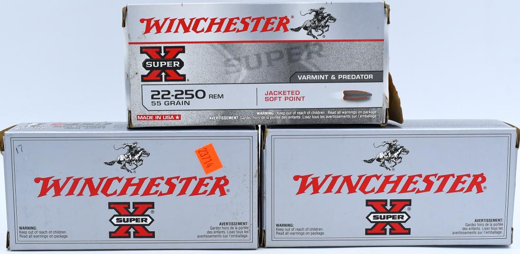 37 Rds of Winchester .22-250 Rem & 20 Empty Brass: 37 Rounds of Winchester .22-250 Rem & 20 Empty Brass Casings, 37 Rounds Are Winchester 64 Grain Power Point Brass Cased Ammunition & 20 Count Of Empty Winchester .22-250 Brass Casings For Reloading